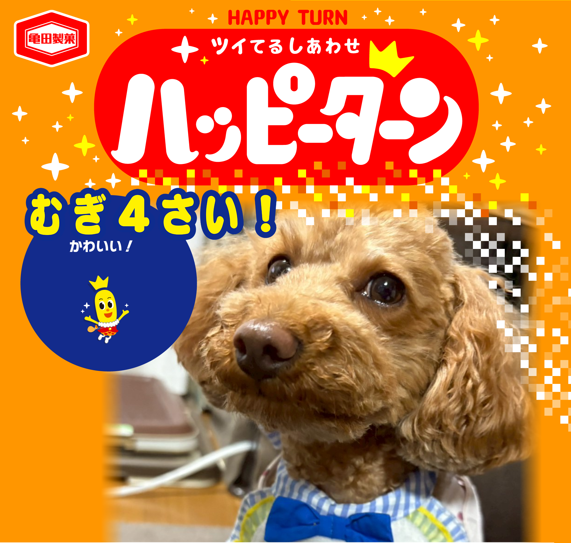 むぎ4さい！