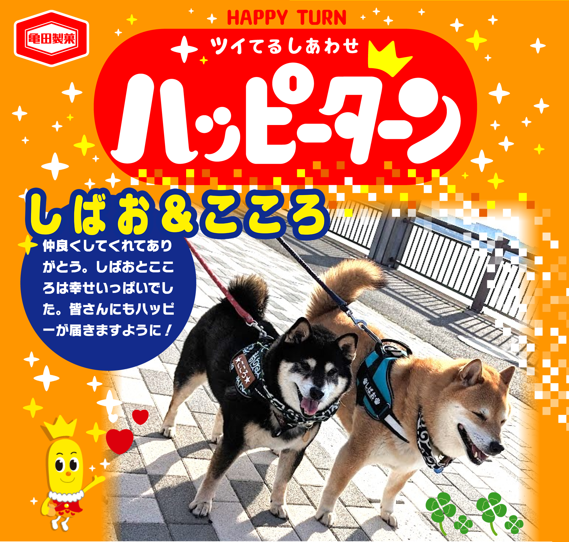 しばお＆こころ