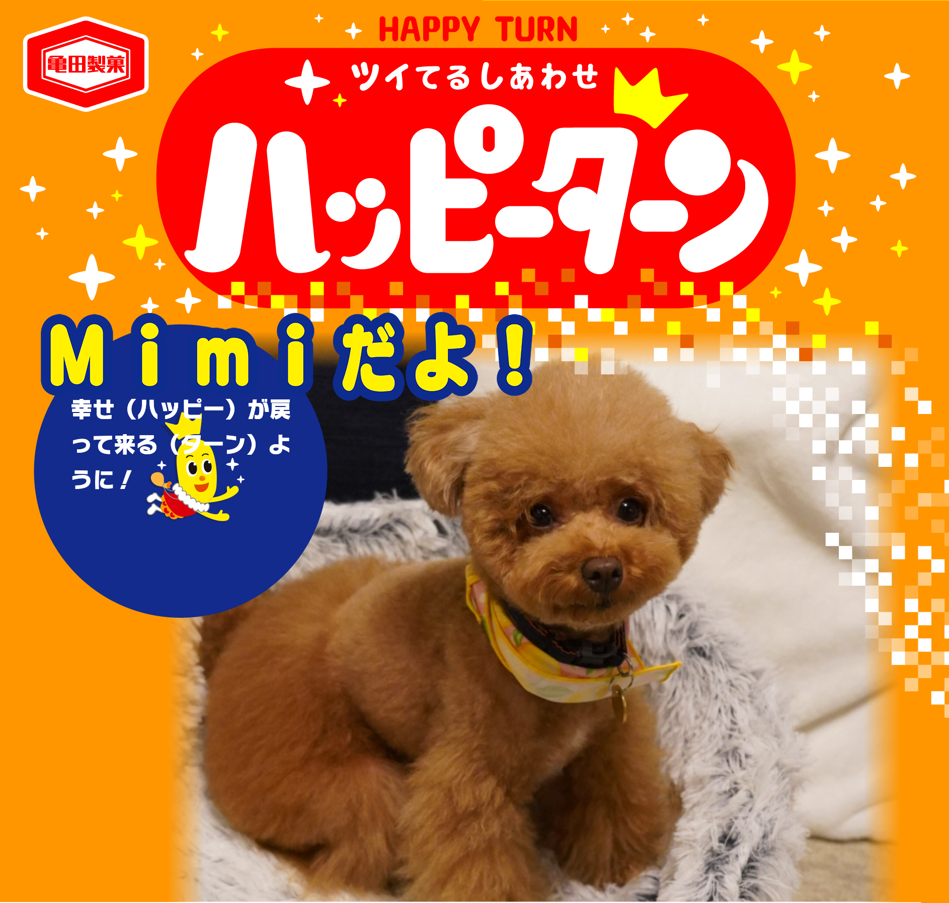 Mimiだよ！