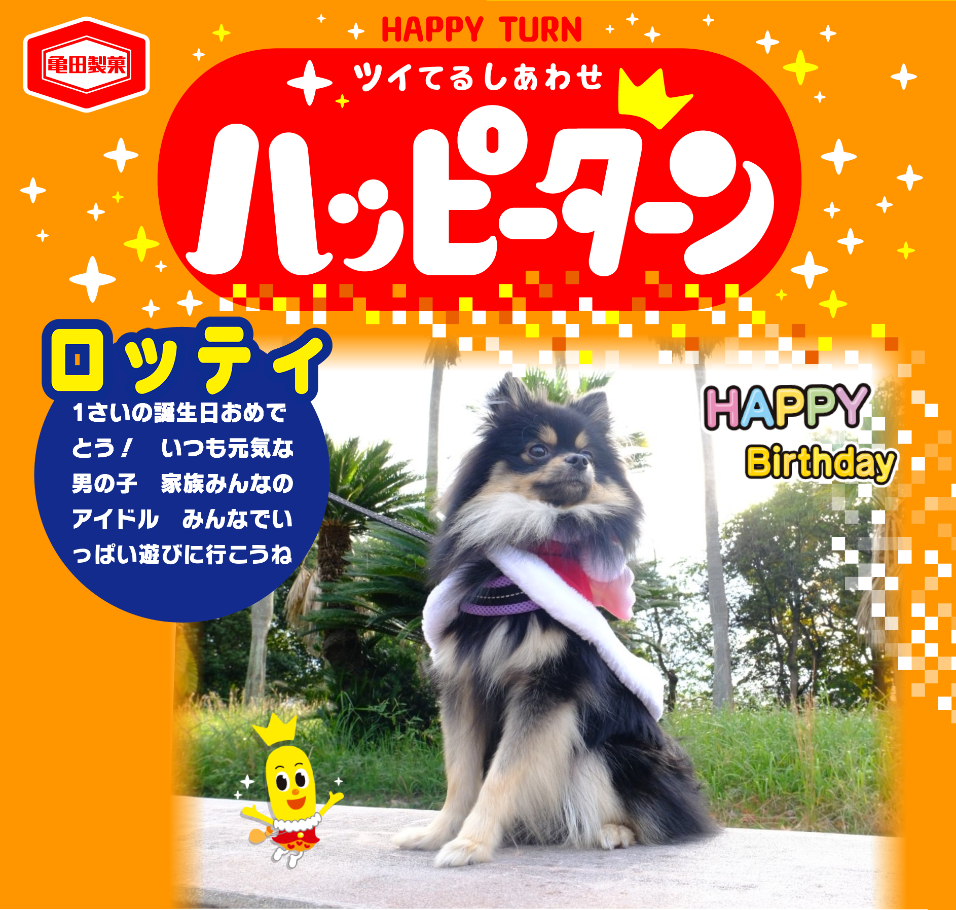 ロッティ