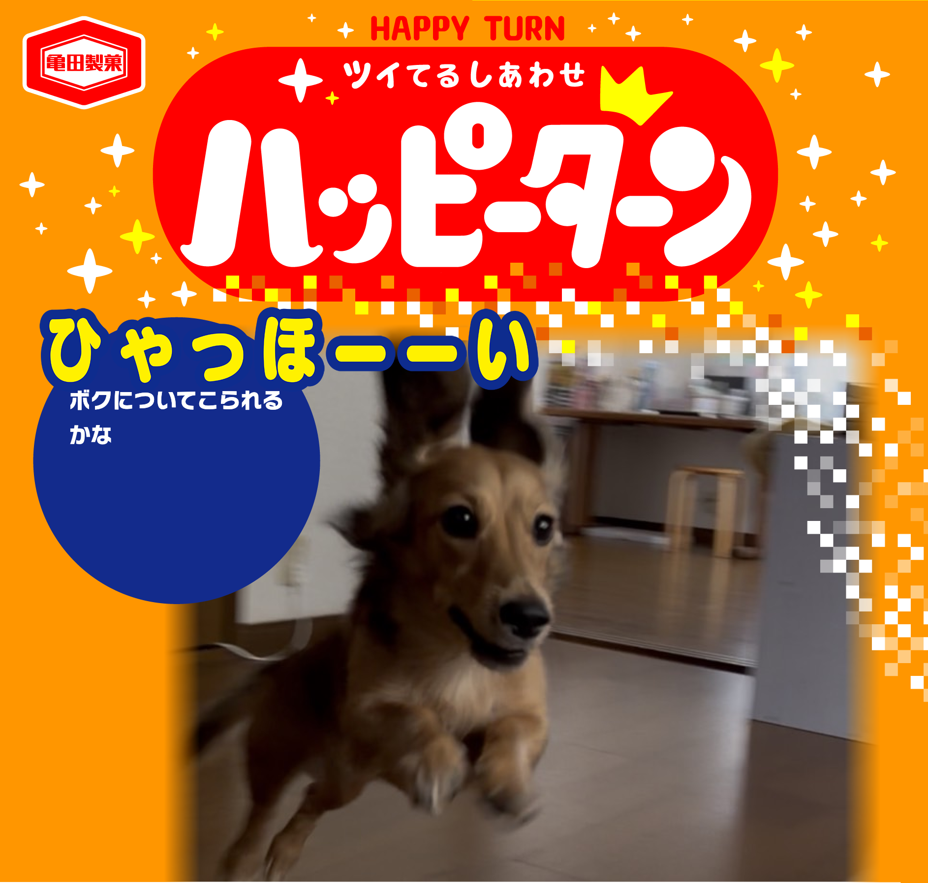 ひゃっほーーい