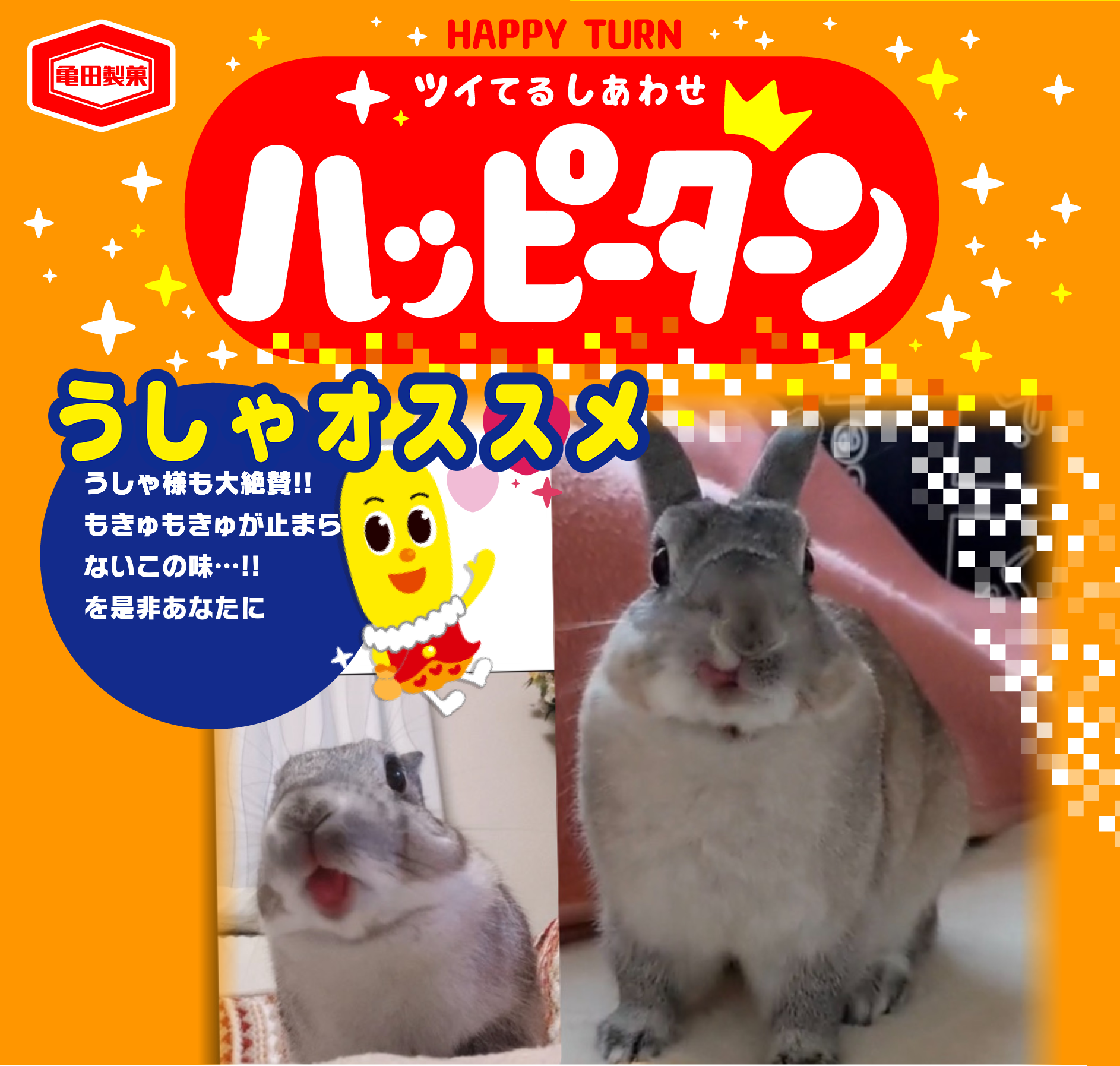 うしゃオススメ
