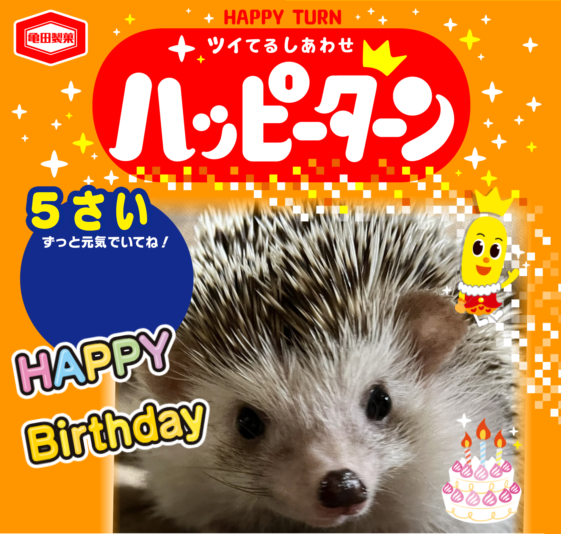 5さい