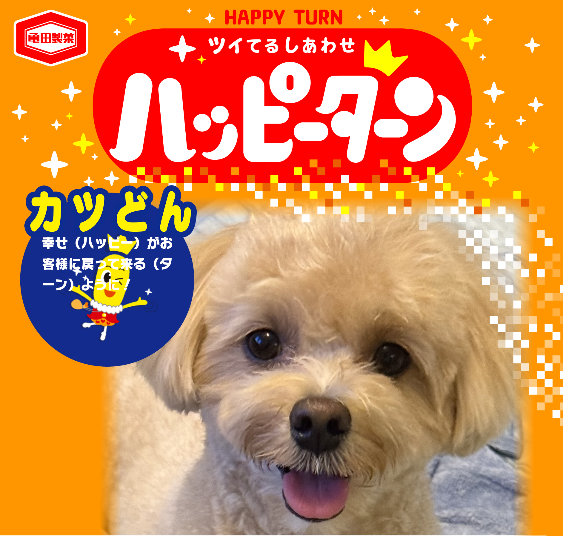 カツどん