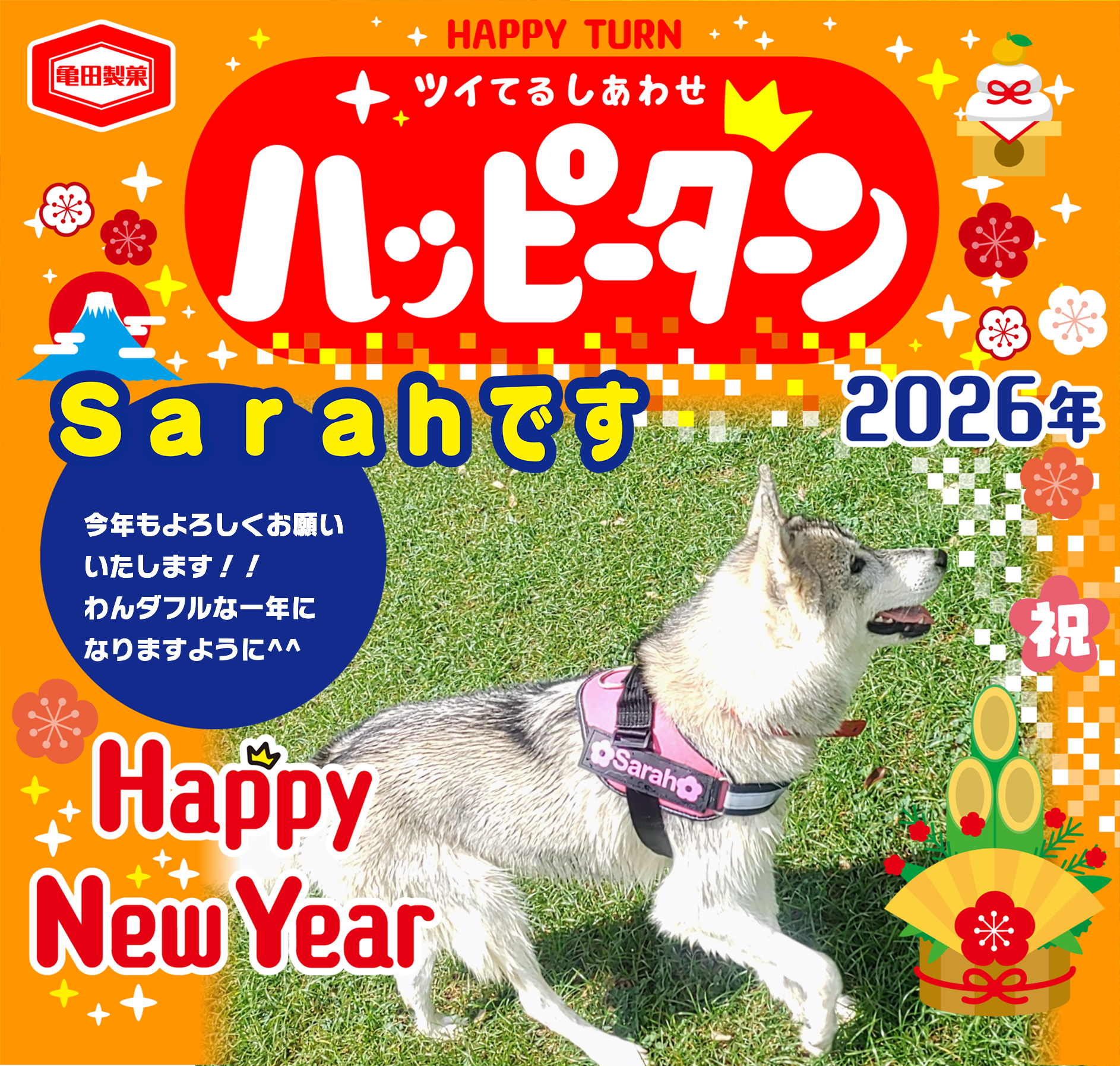 Sarahです