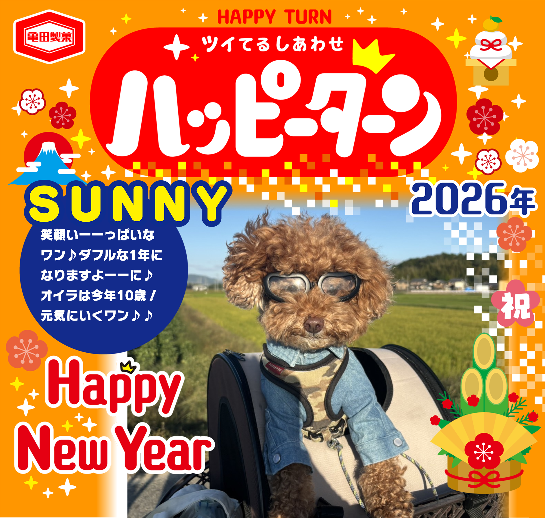 SUNNY