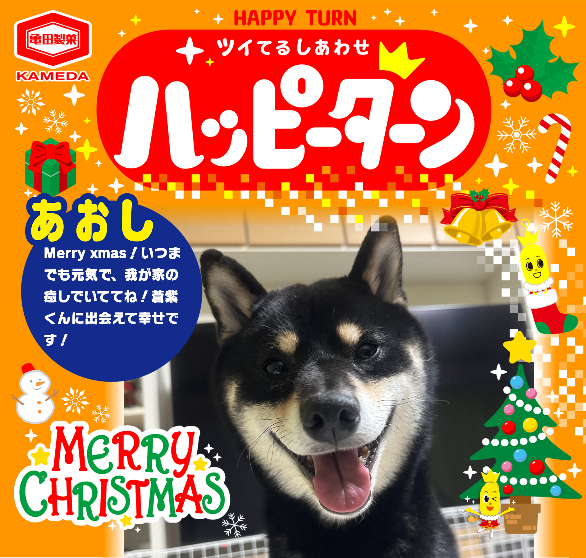 あおし