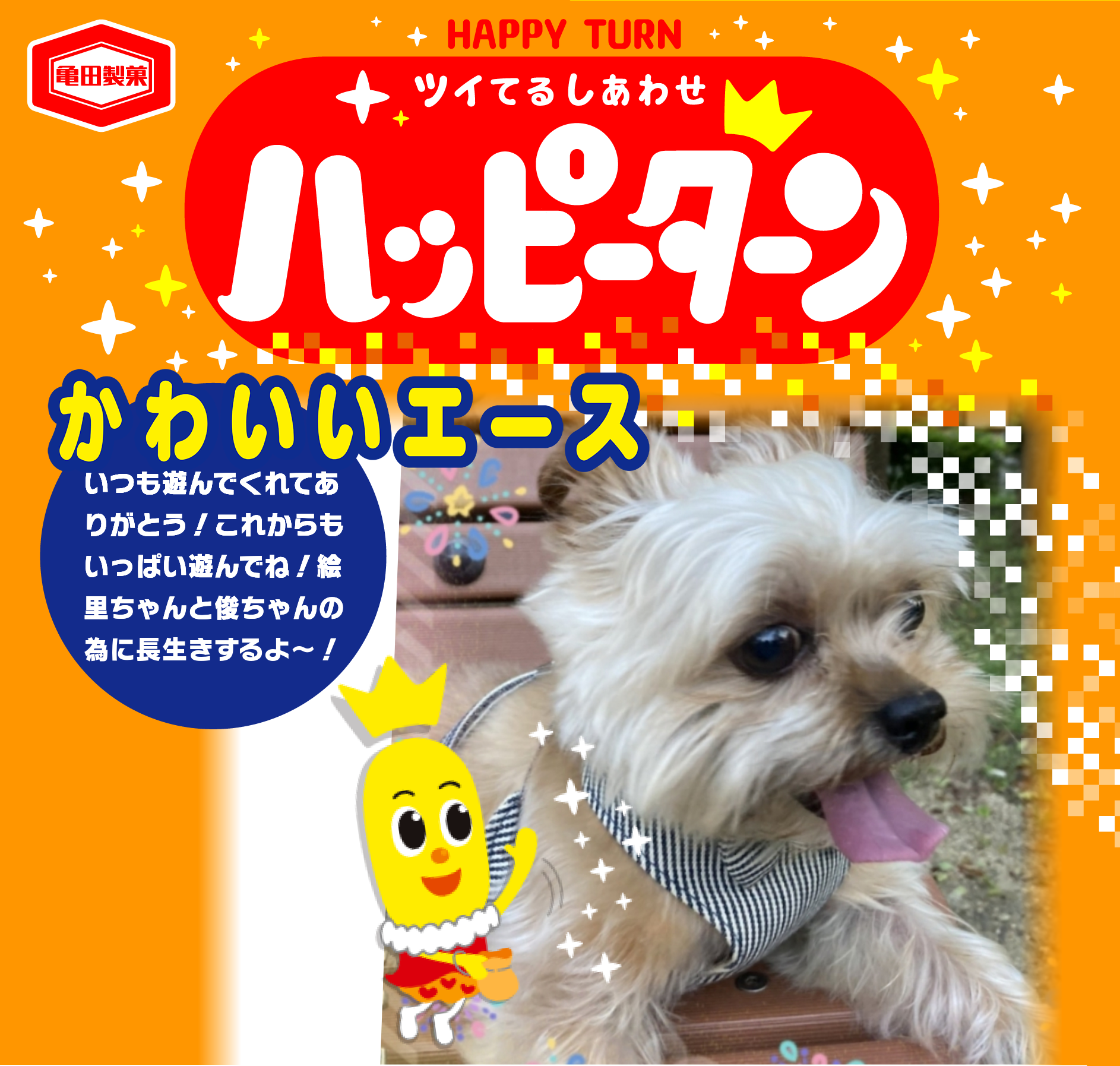 かわいいエース