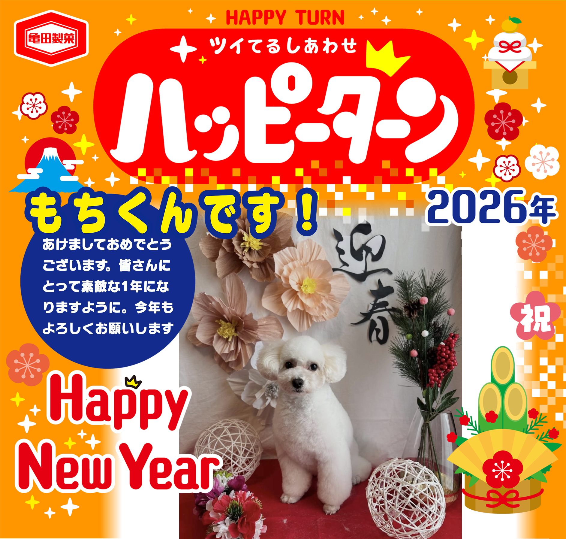 もちくんです！