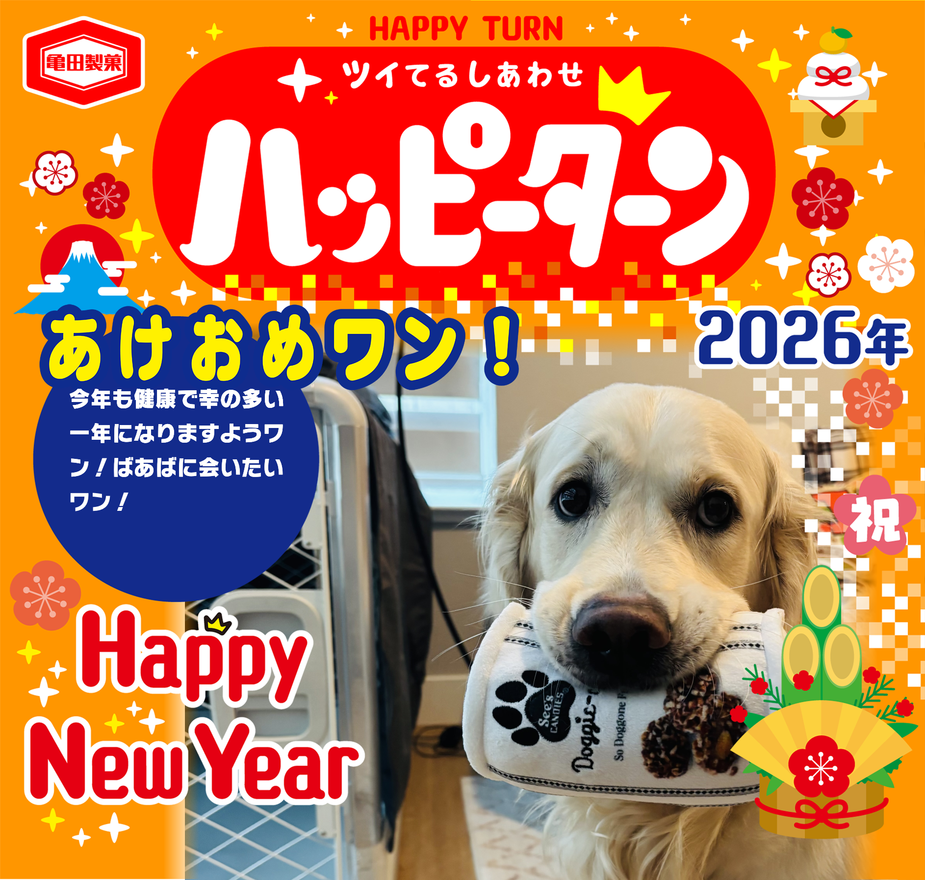 あけおめワン！