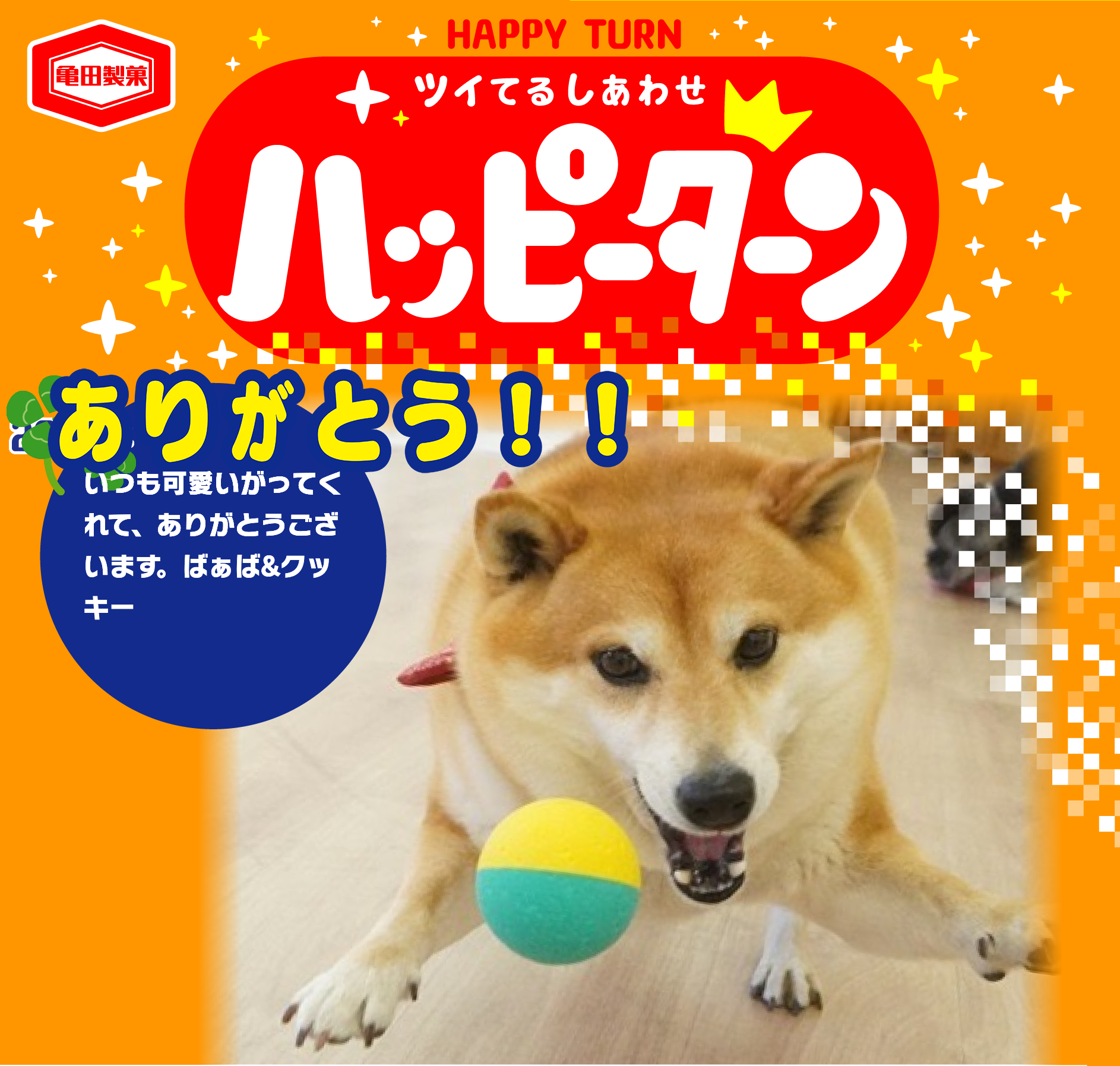 ありがとう！！