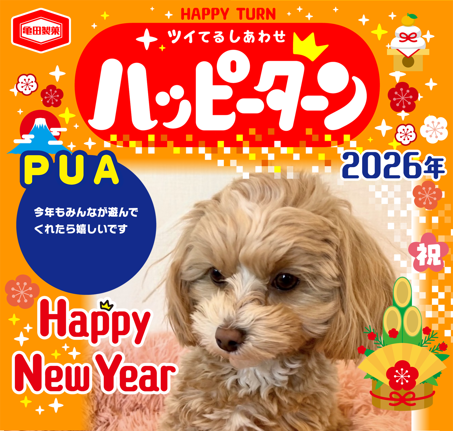 PUA