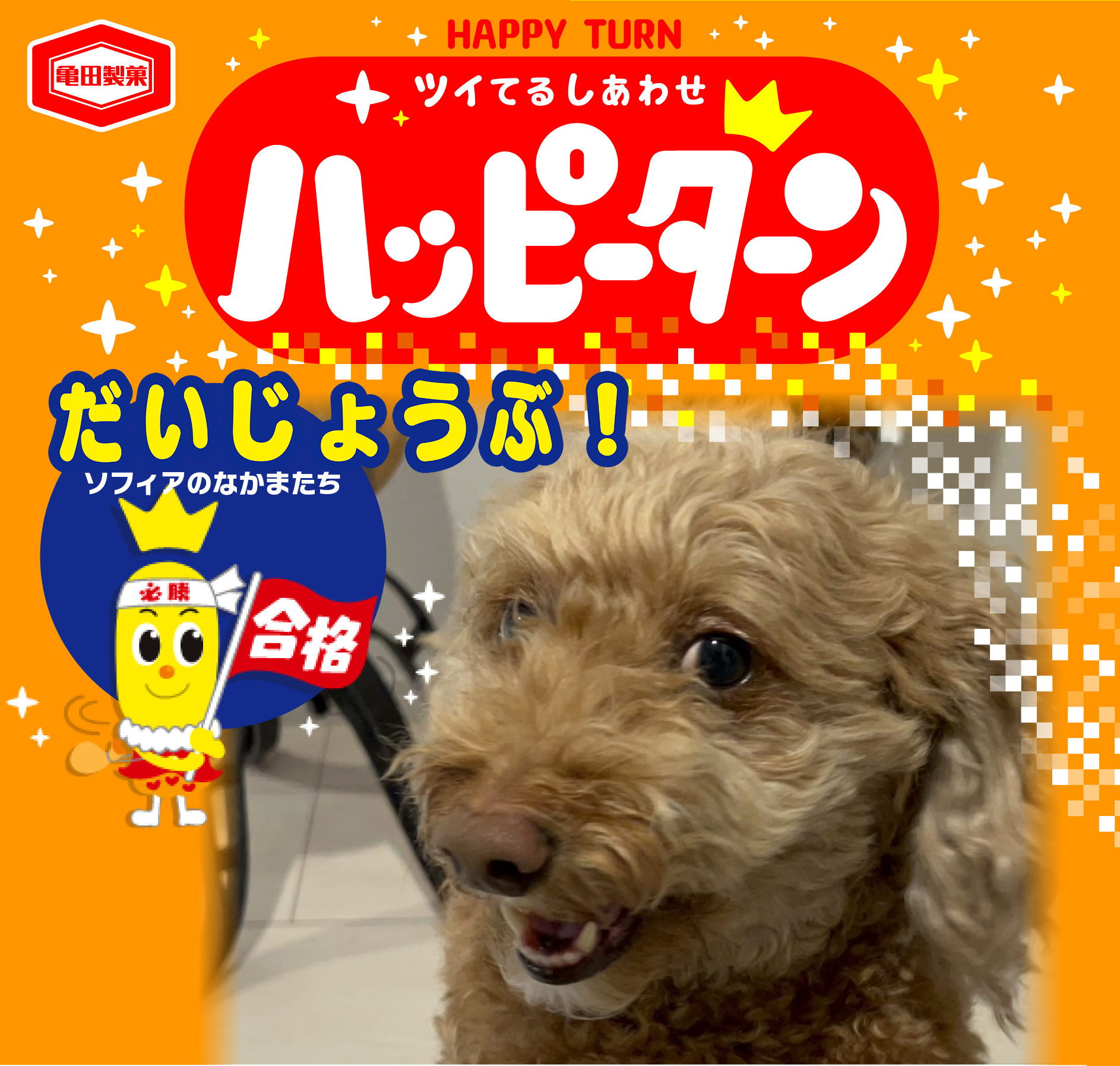 だいじょうぶ！