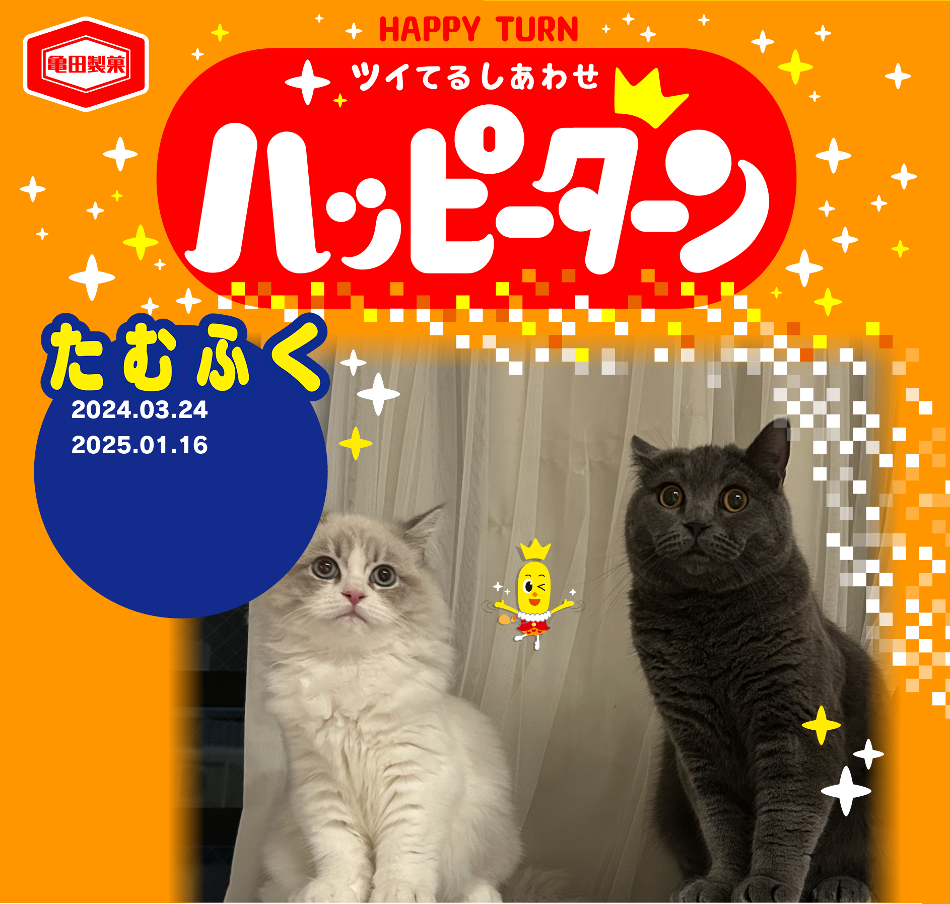 たむふく