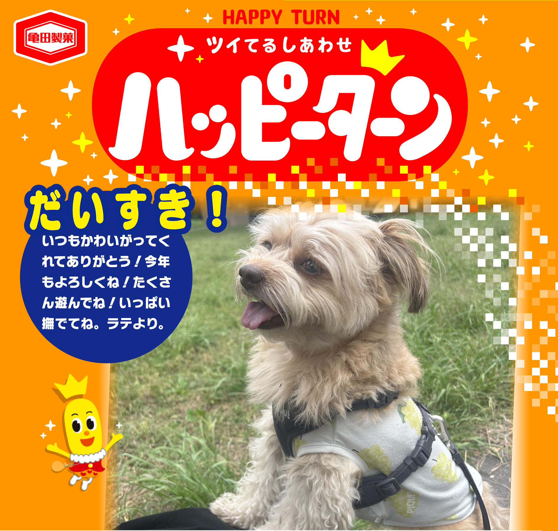 だいすき！