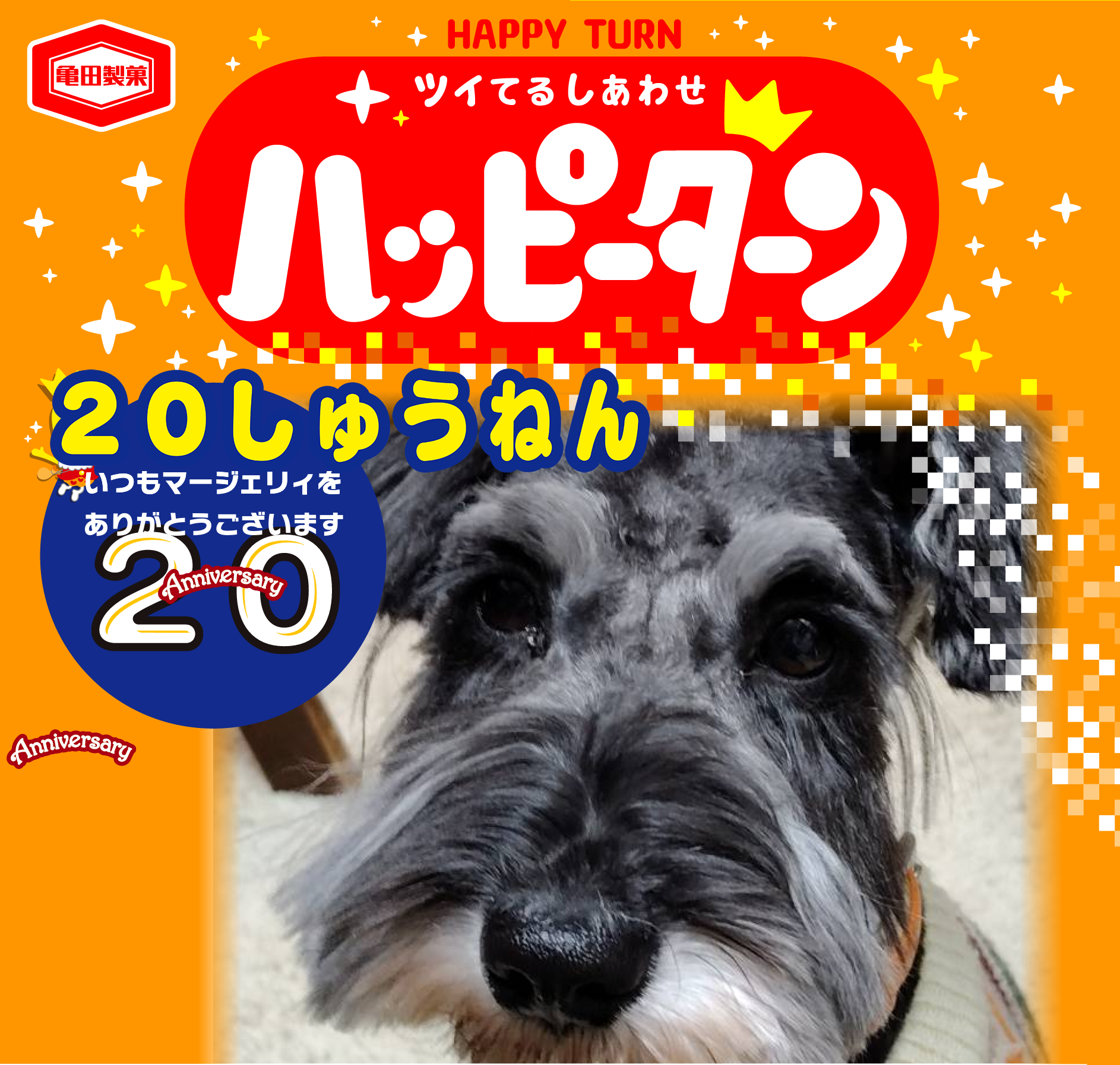 20しゅうねん