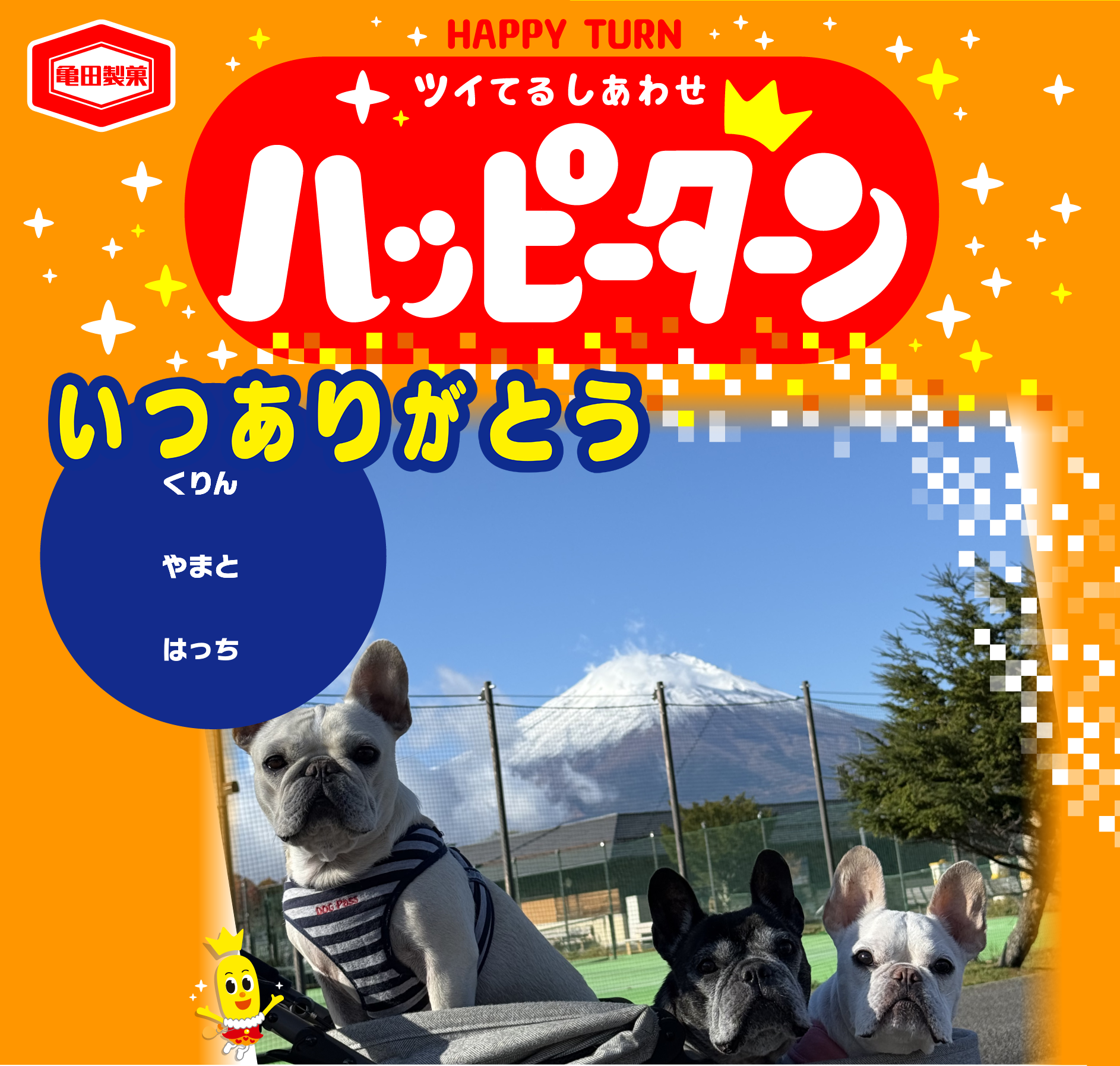 いつありがとう