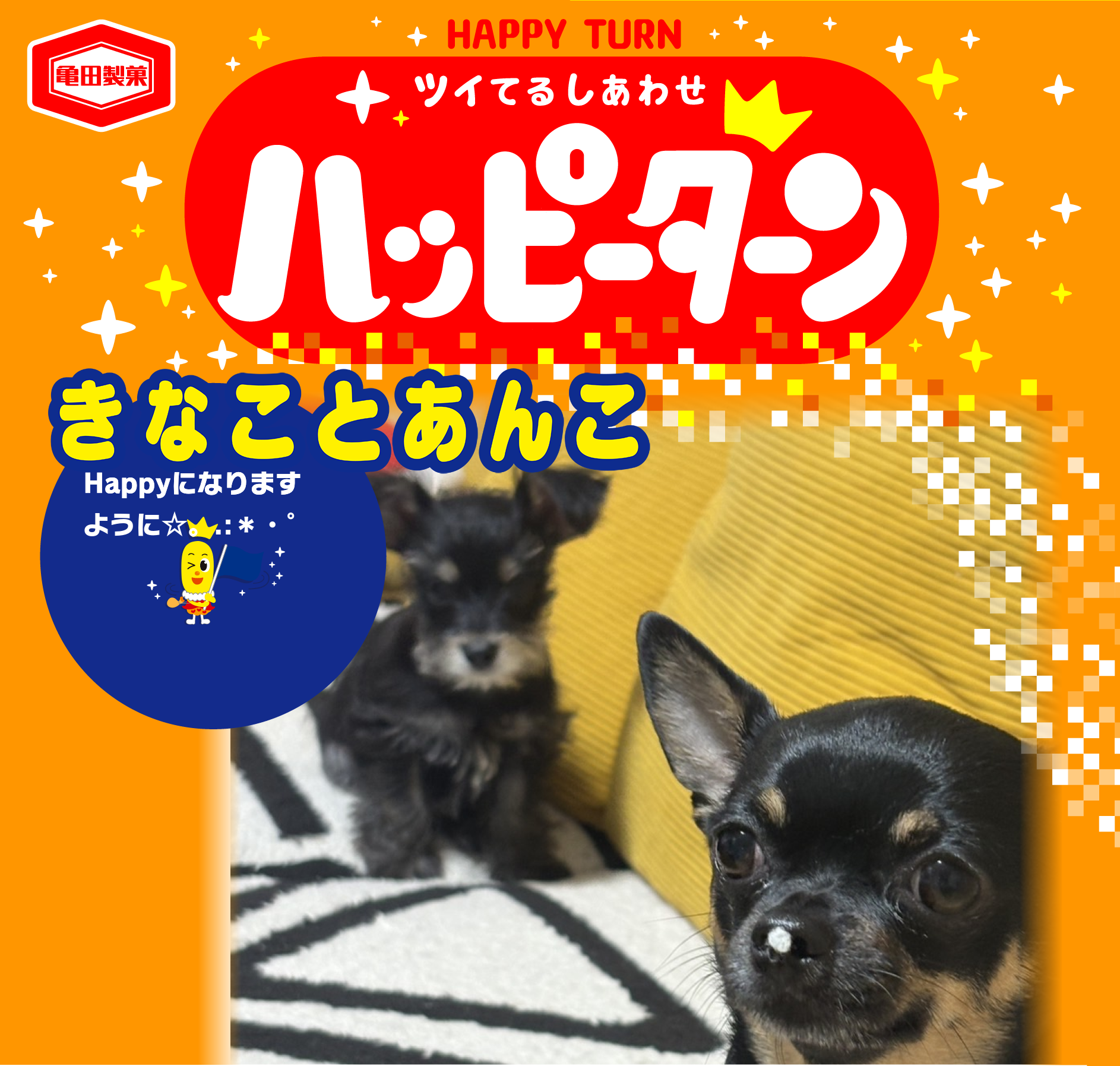 きなことあんこ