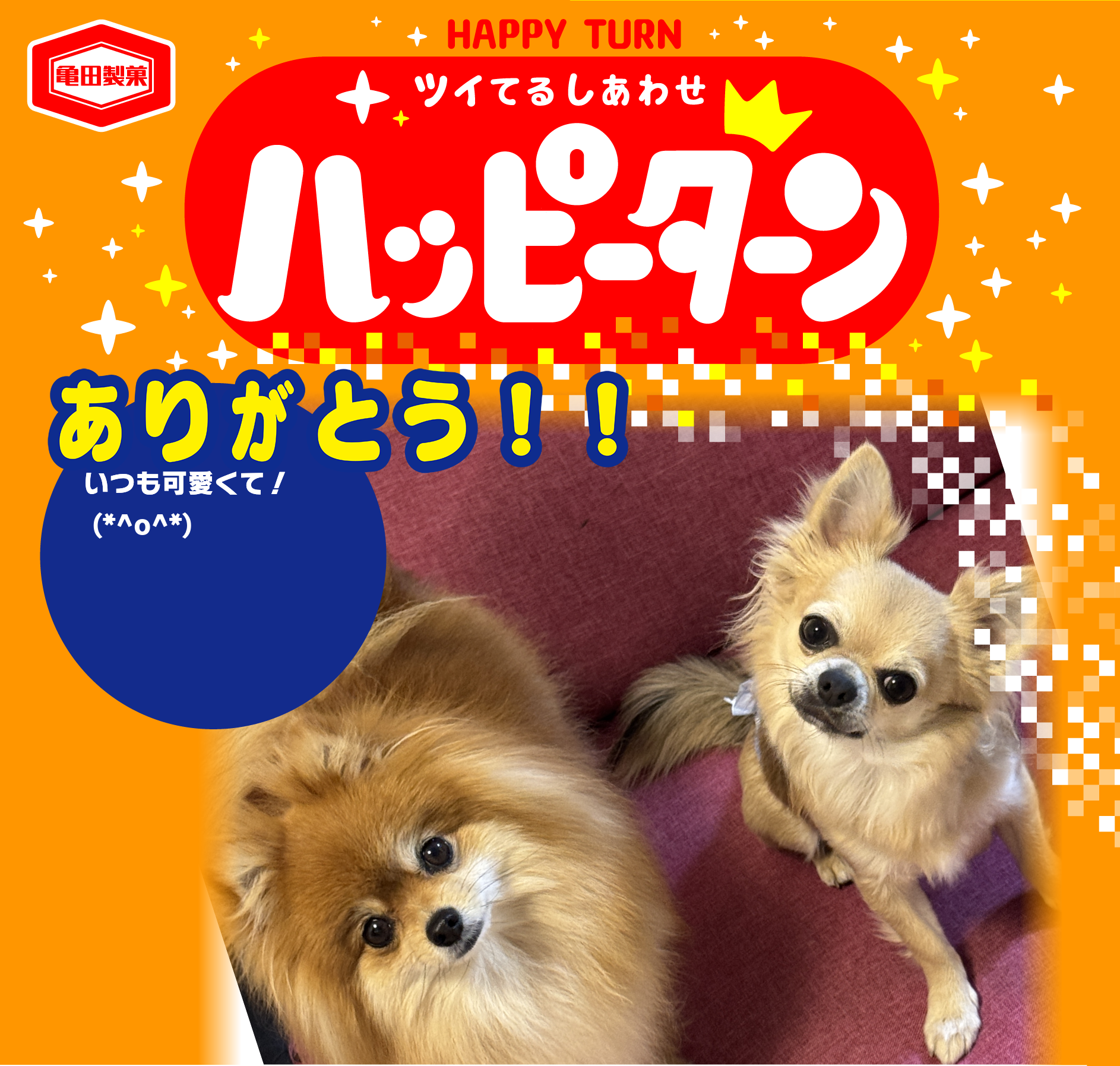 ありがとう！！