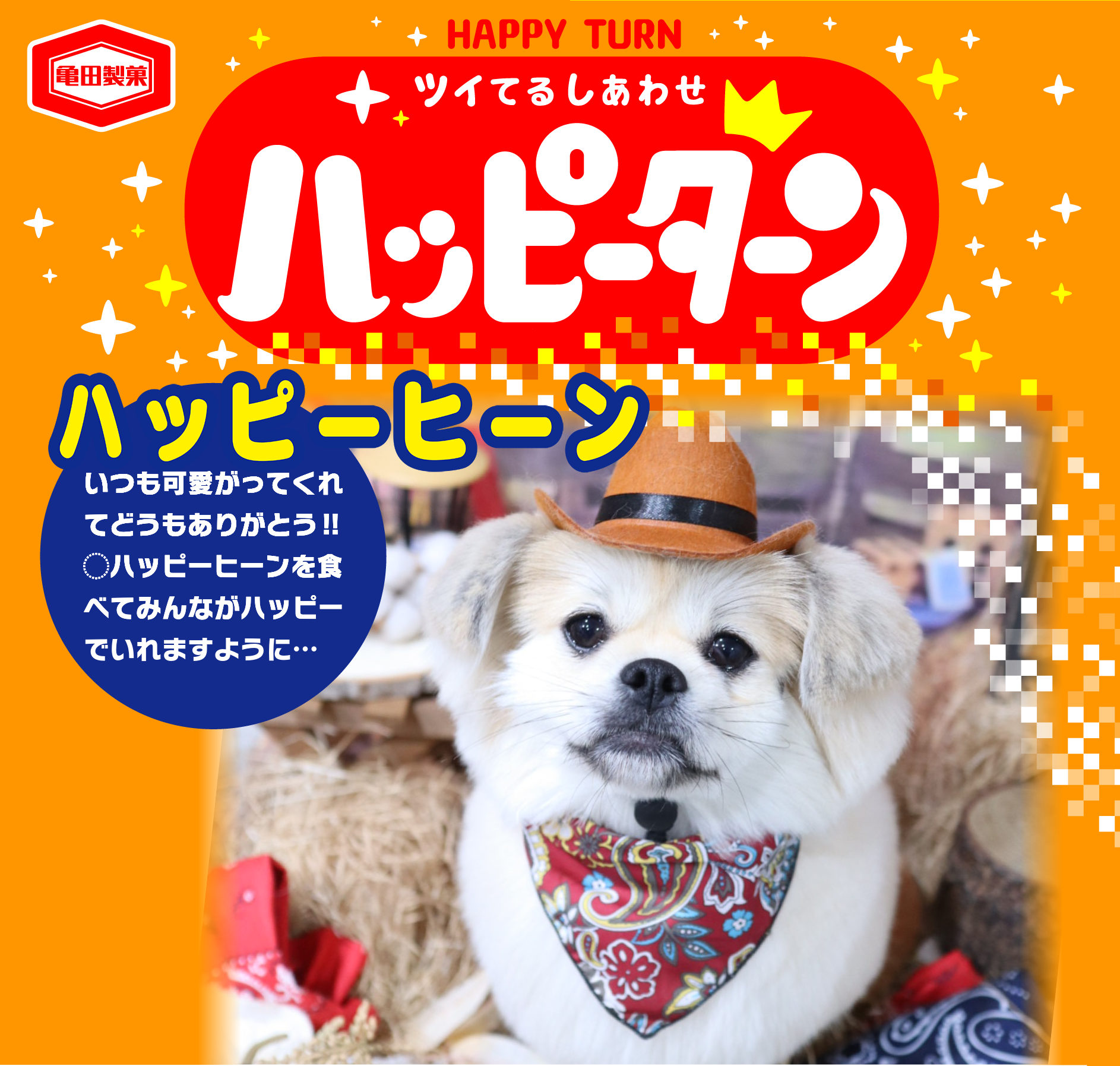 ハッピーヒーン