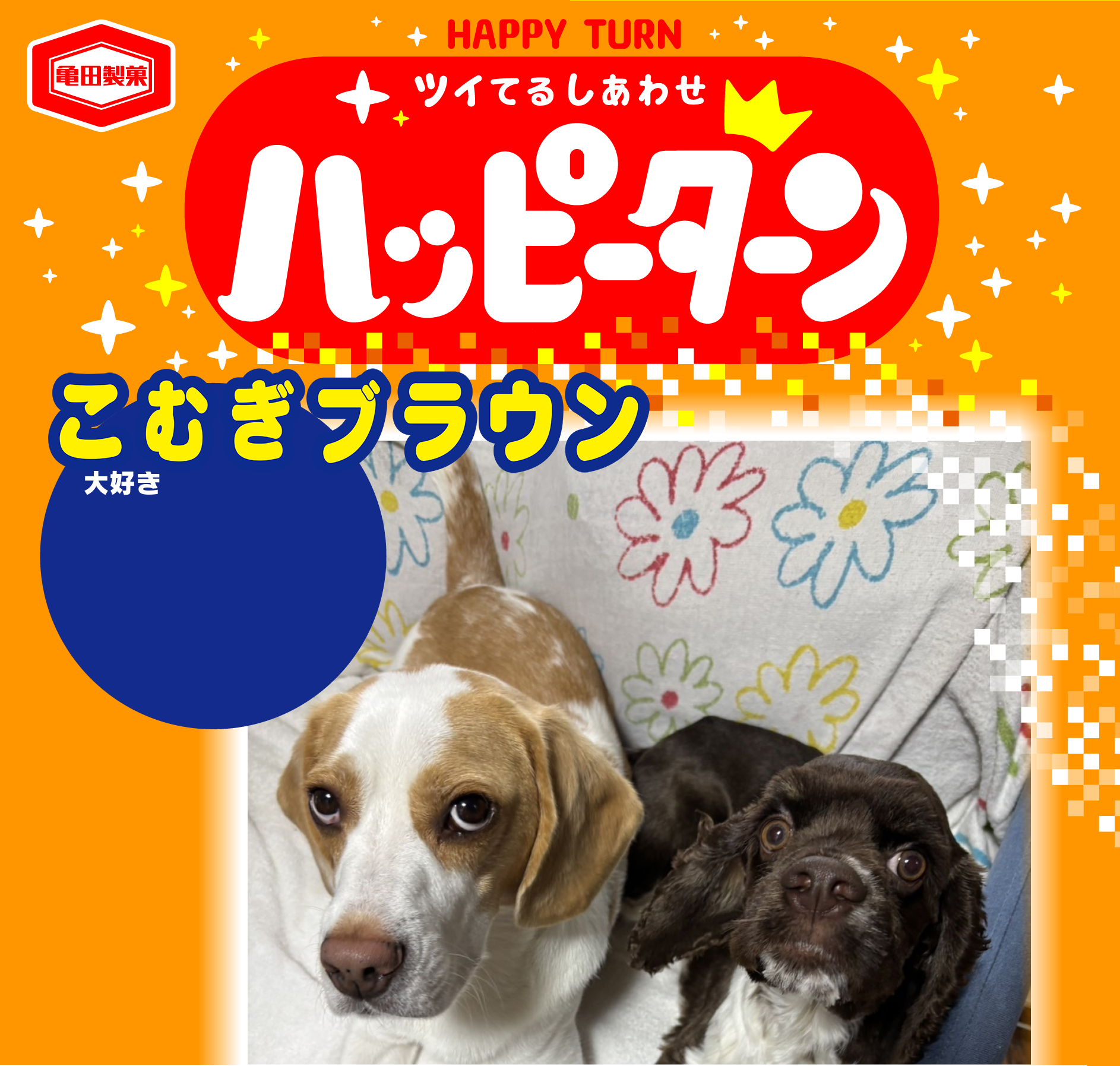 こむぎブラウン