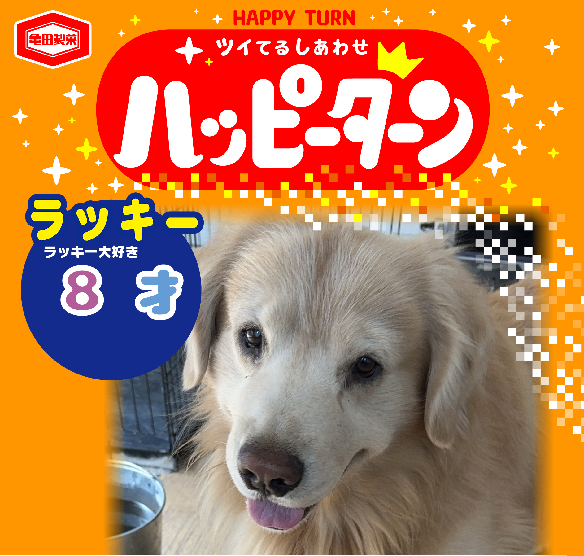 ラッキー