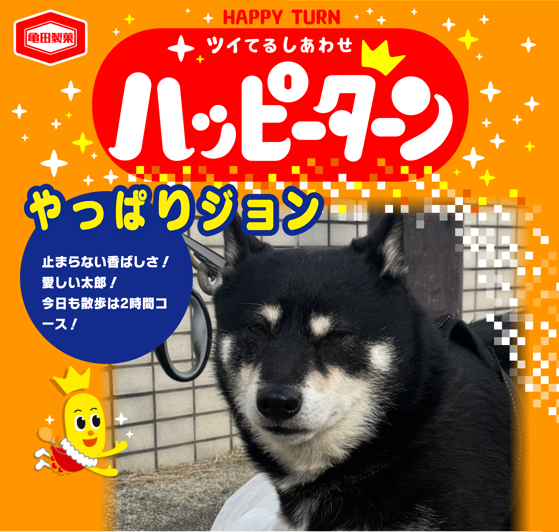 やっぱりジョン