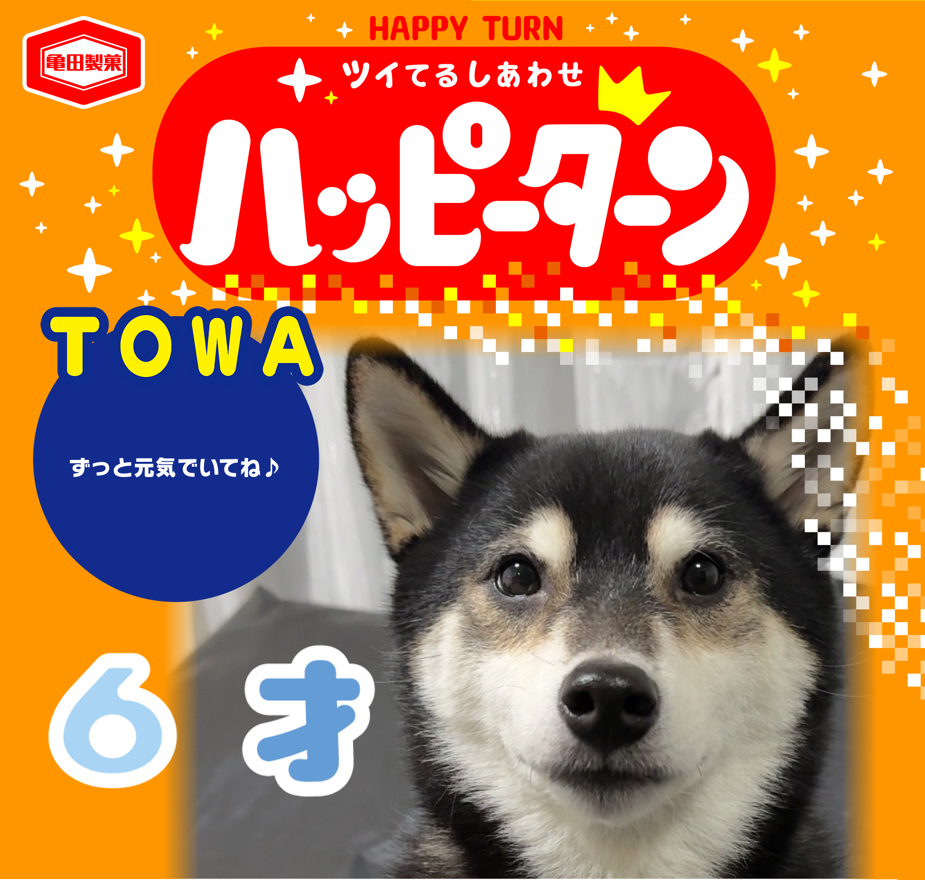TOWA