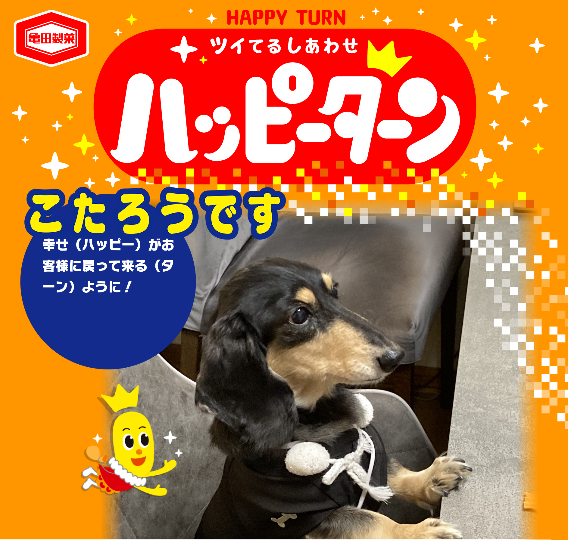 こたろうです