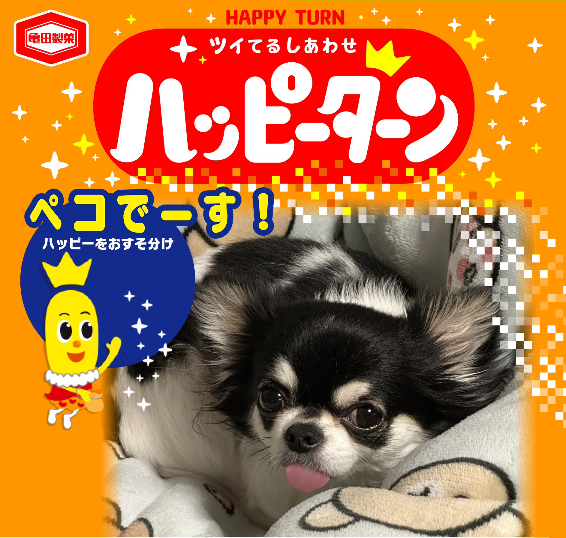 ペコでーす！