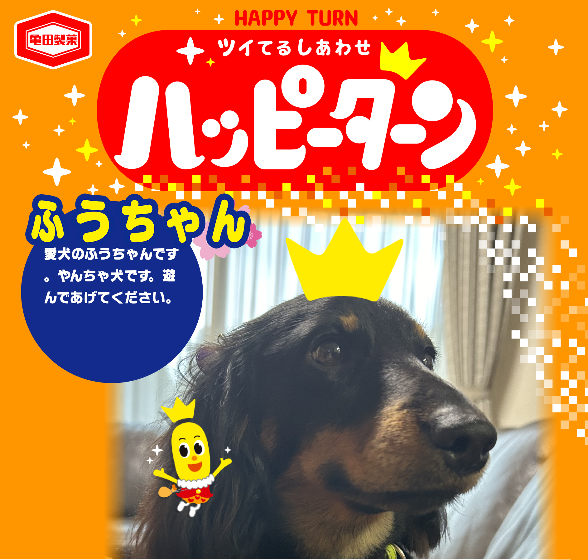 ふうちゃん