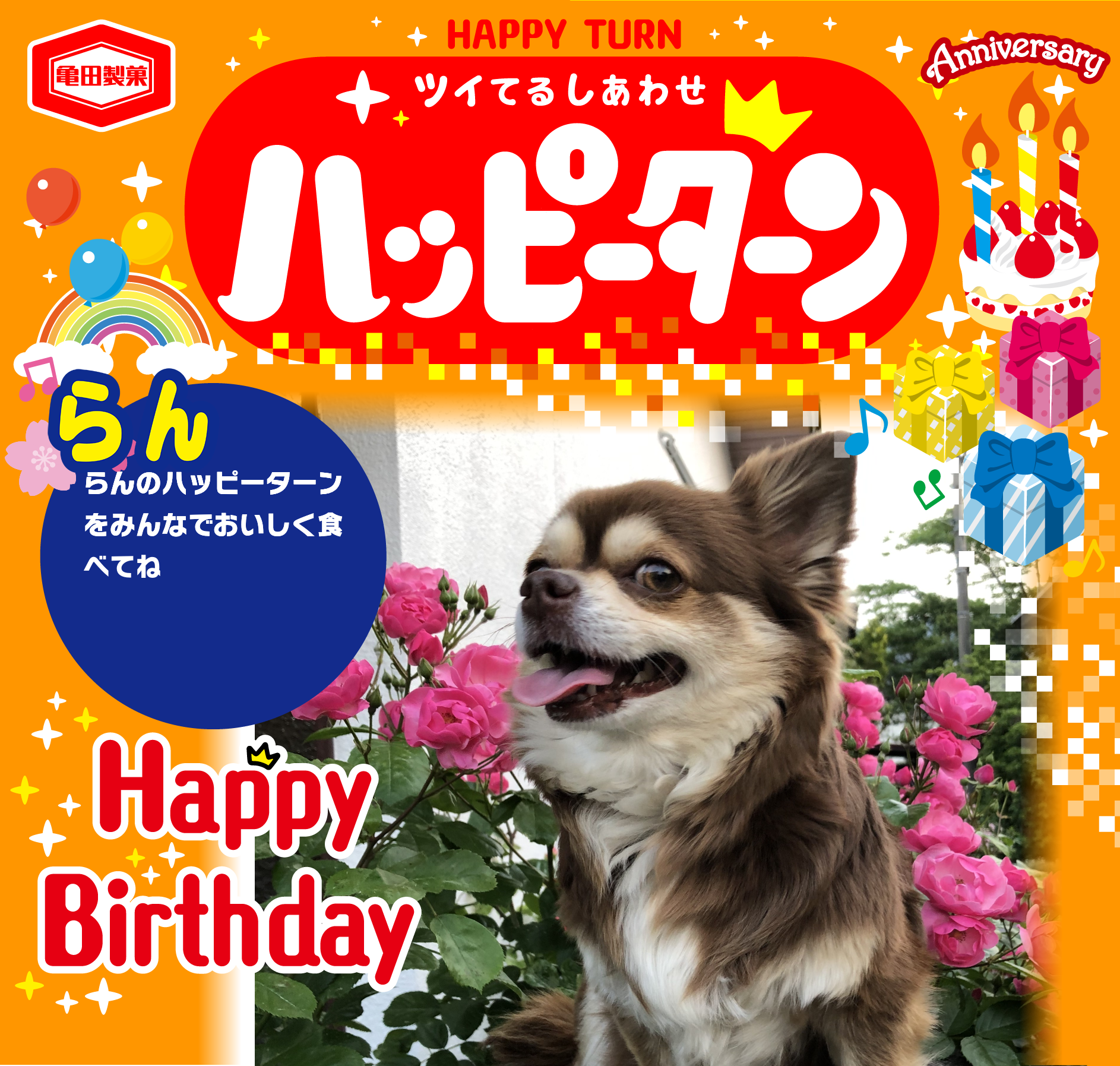 らん