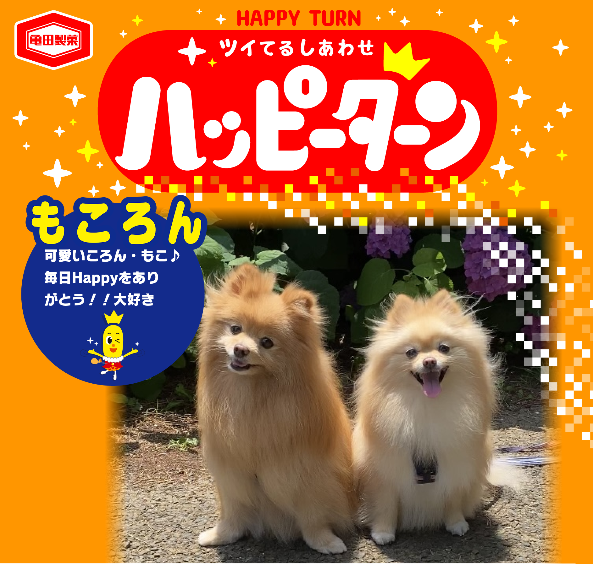 もころん
