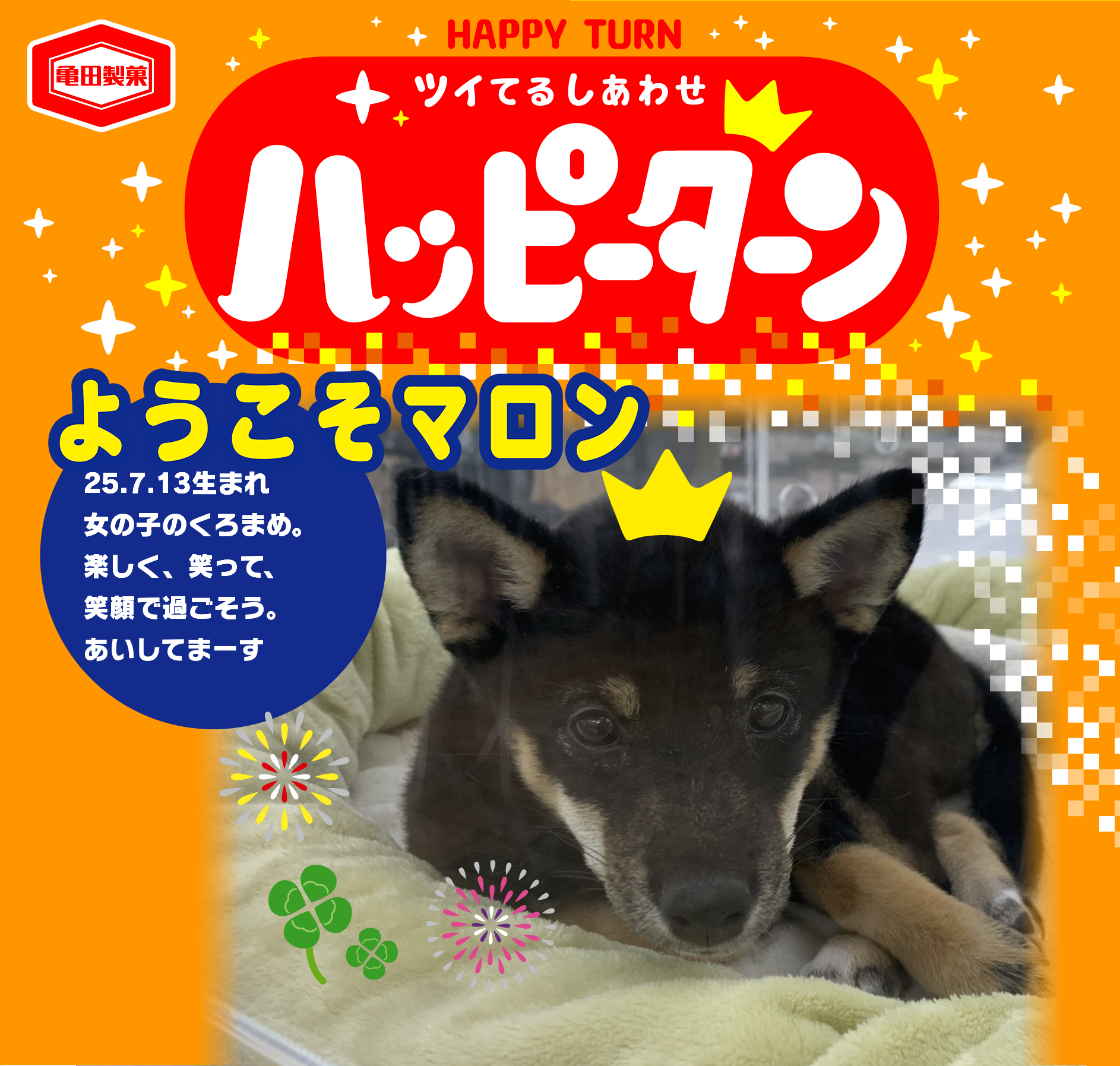 ようこそマロン