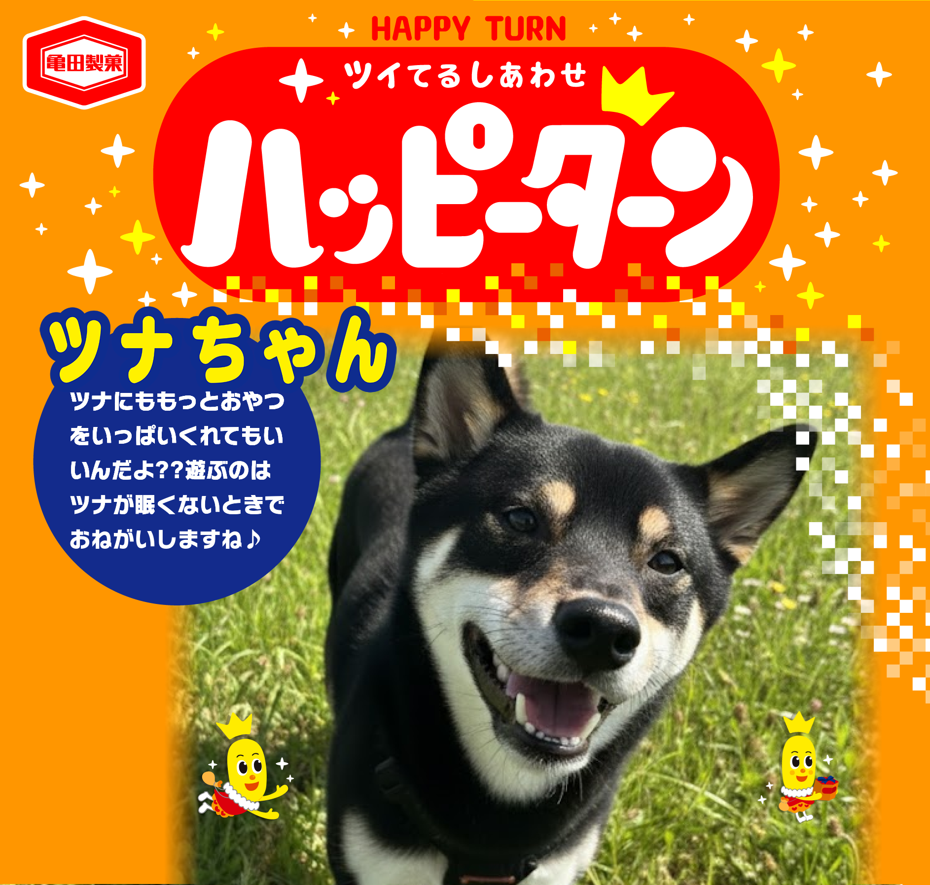 ツナちゃん