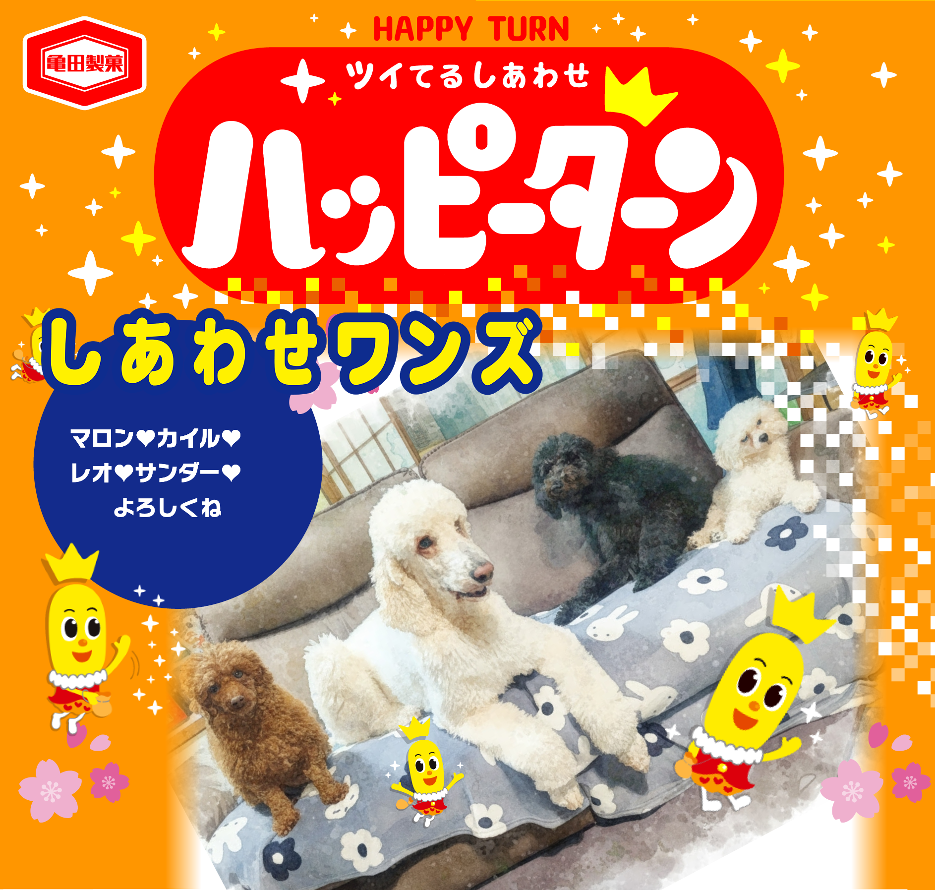 しあわせワンズ