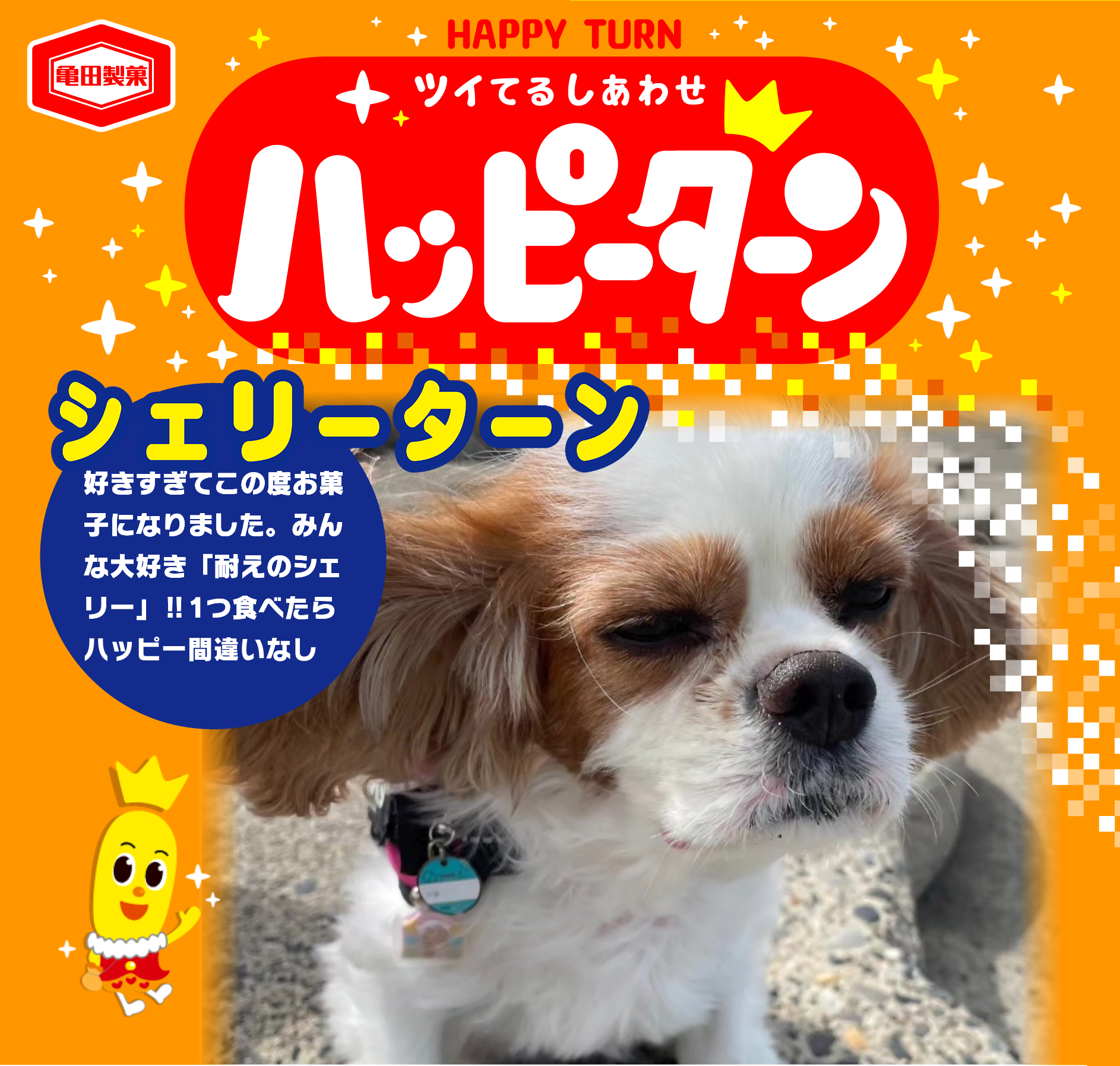 シェリーターン
