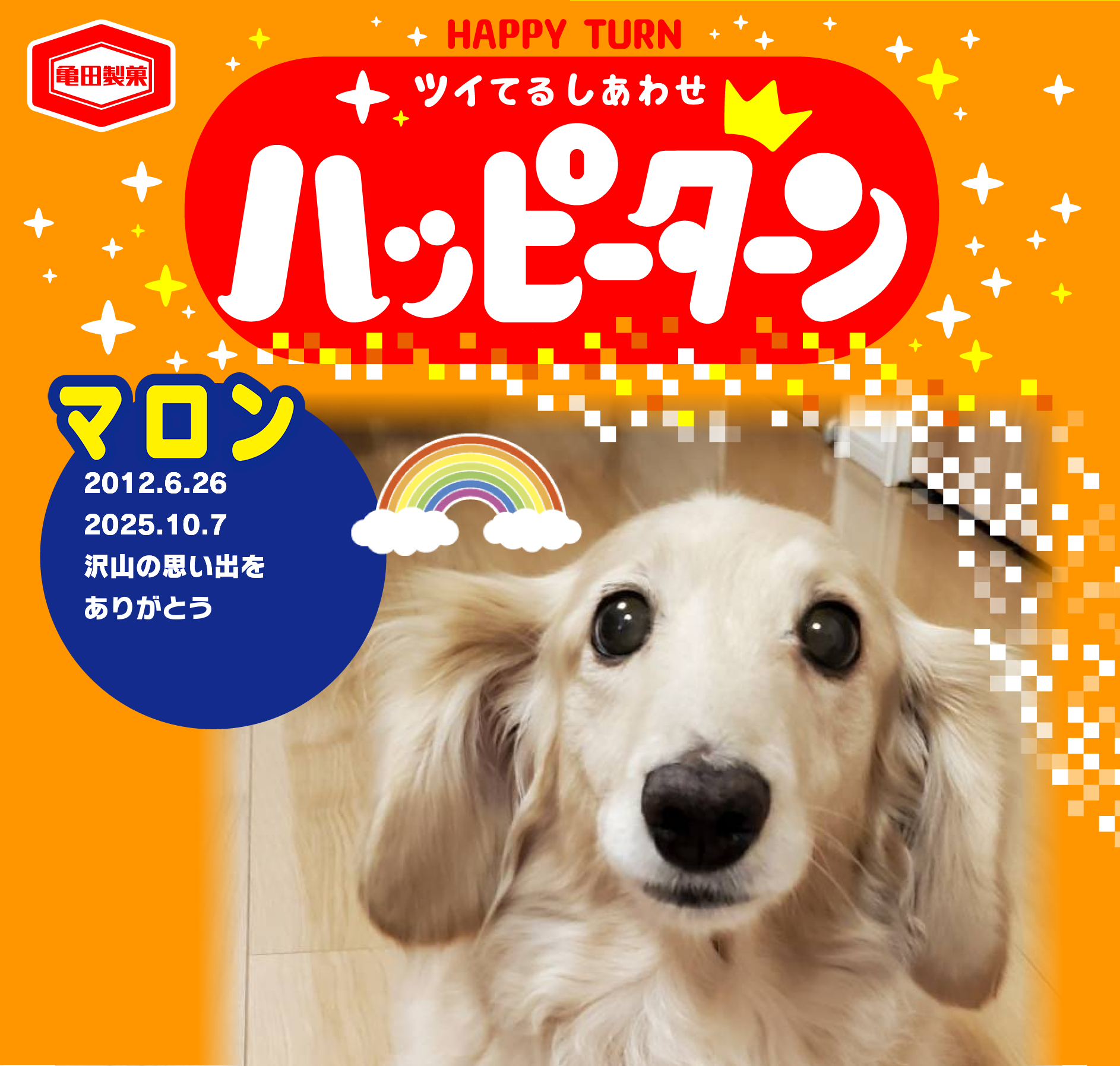 マロン