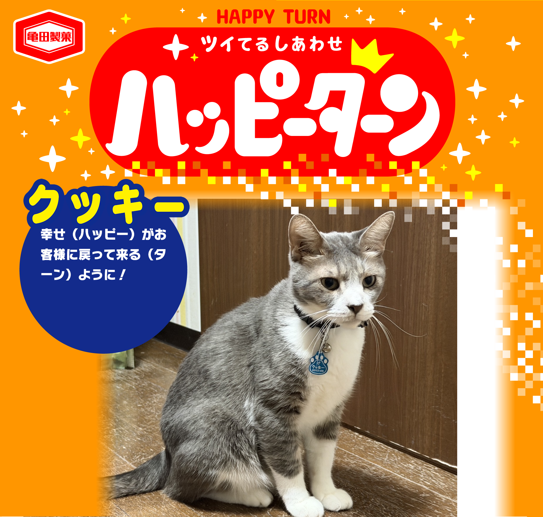 クッキー