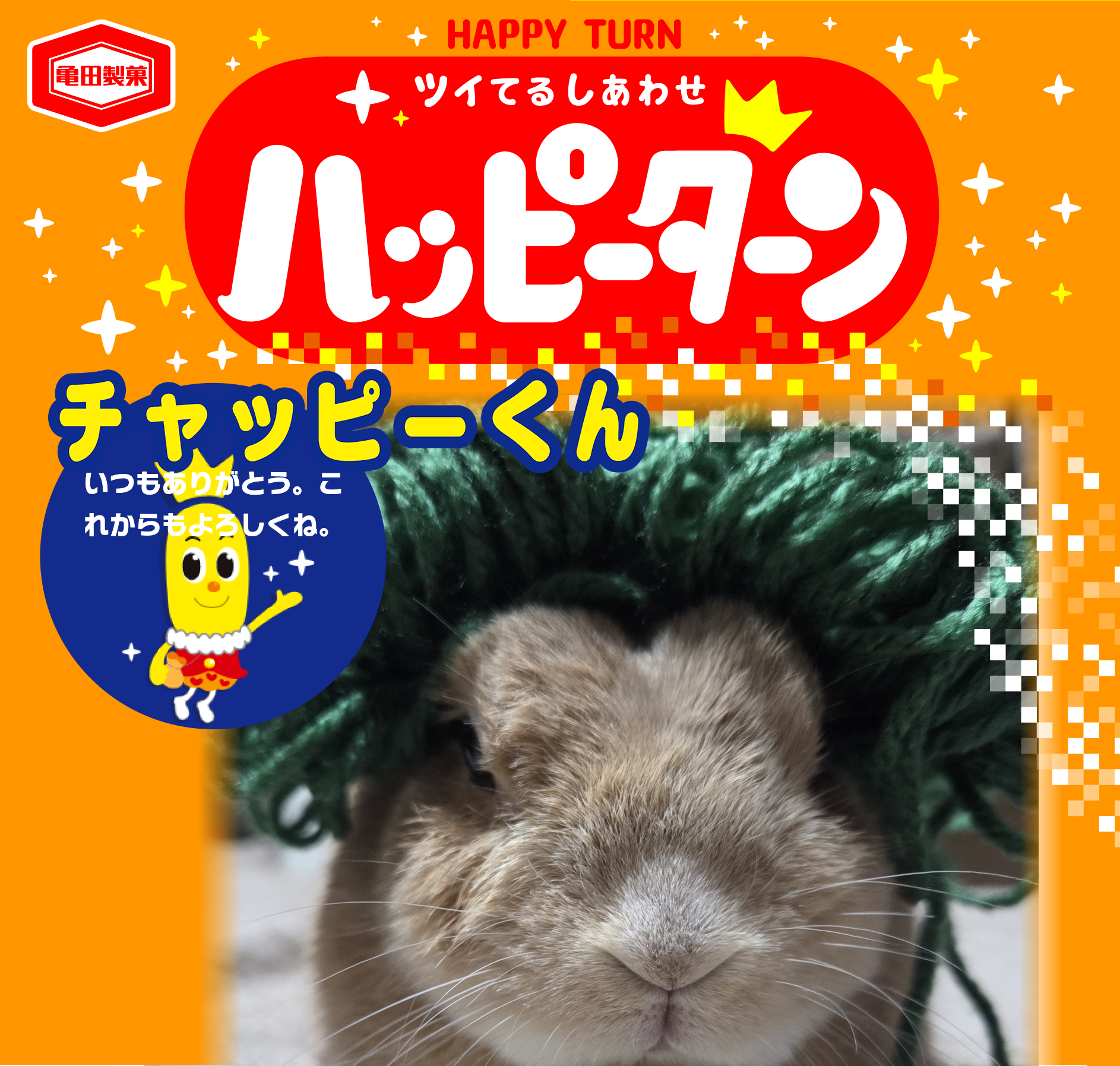 チャッピーくん