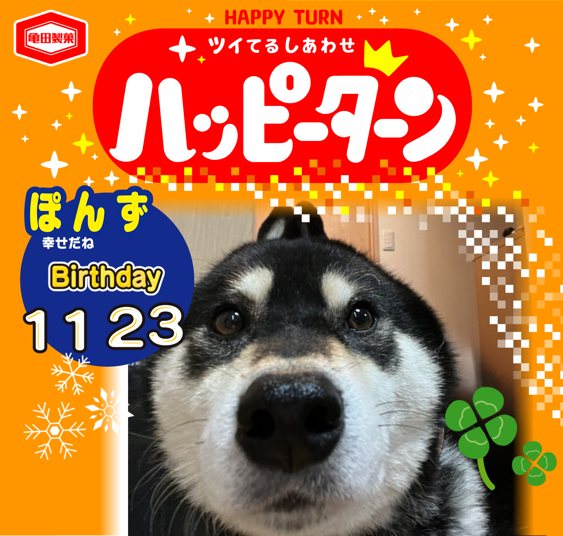 ぽんず