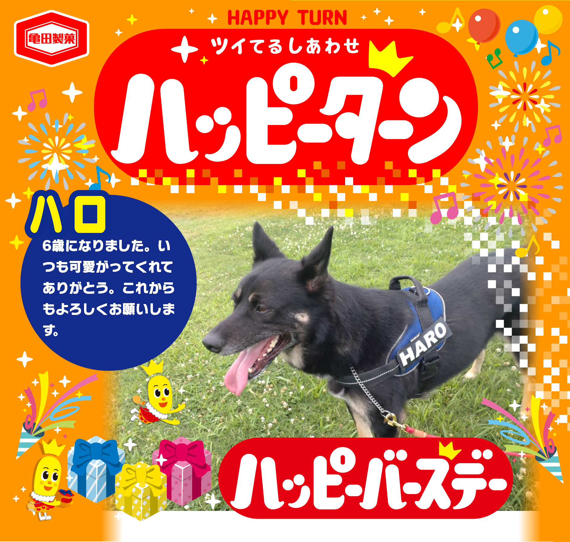 ハロ