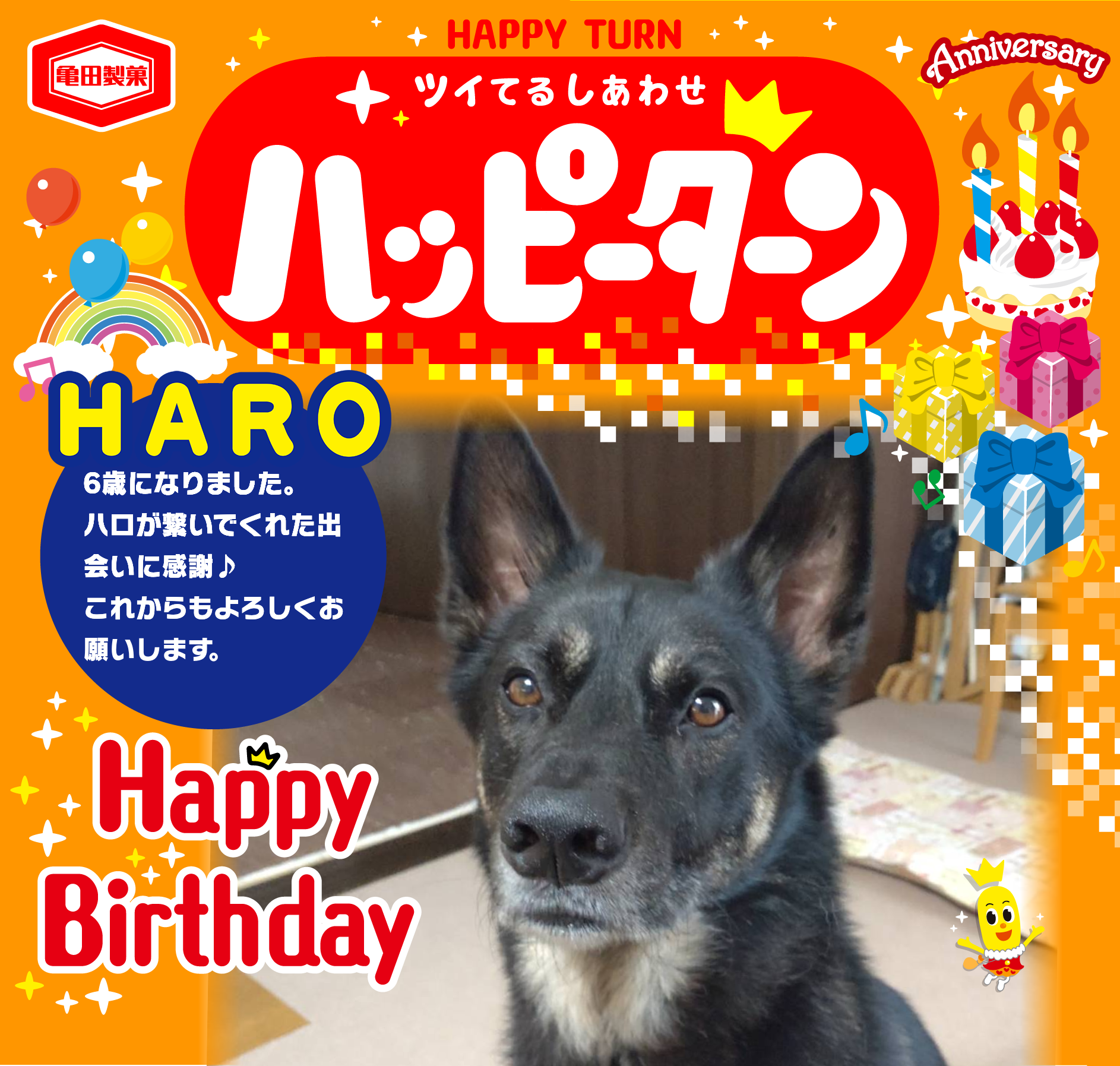 HARO