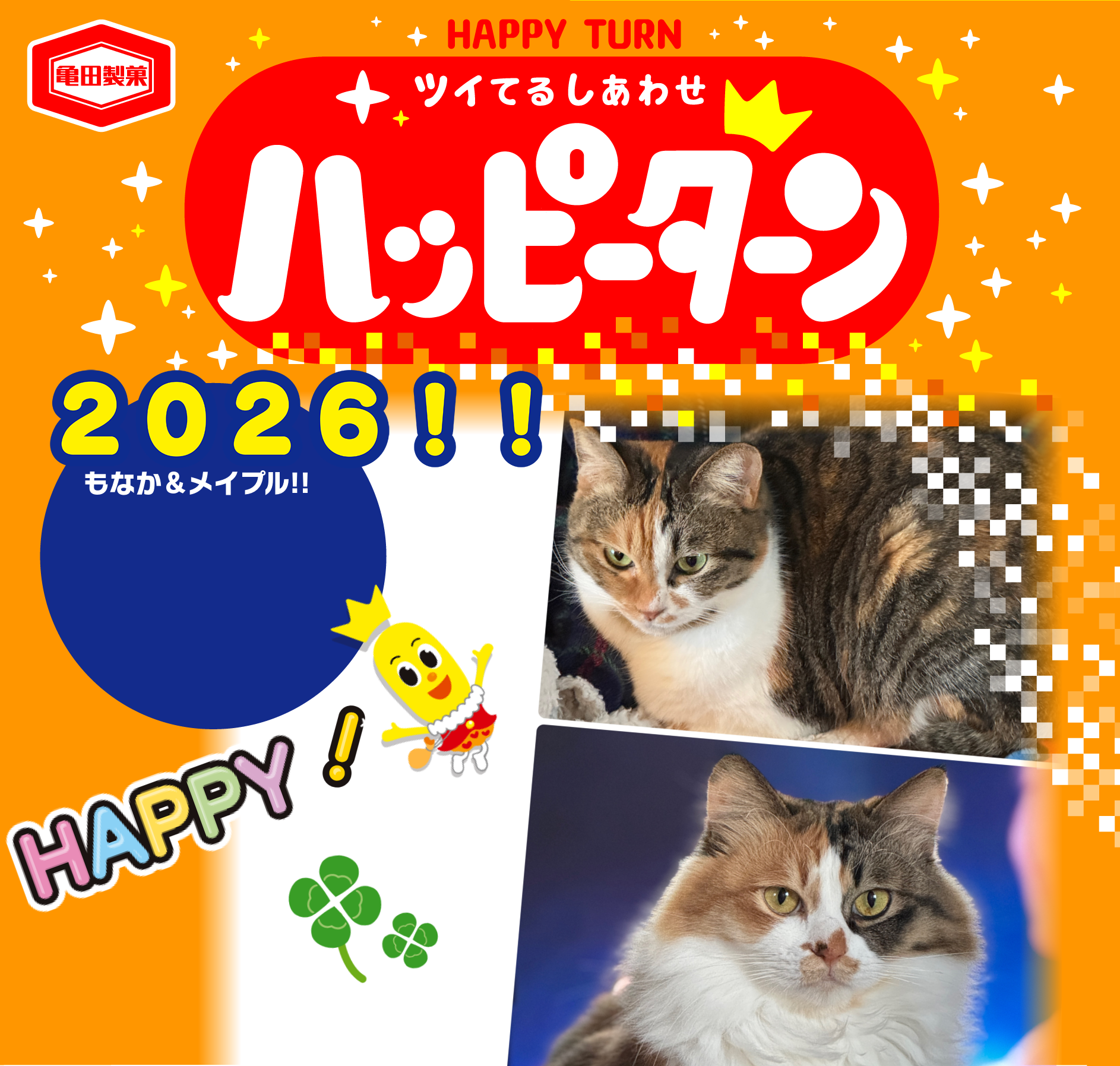 2026!!
