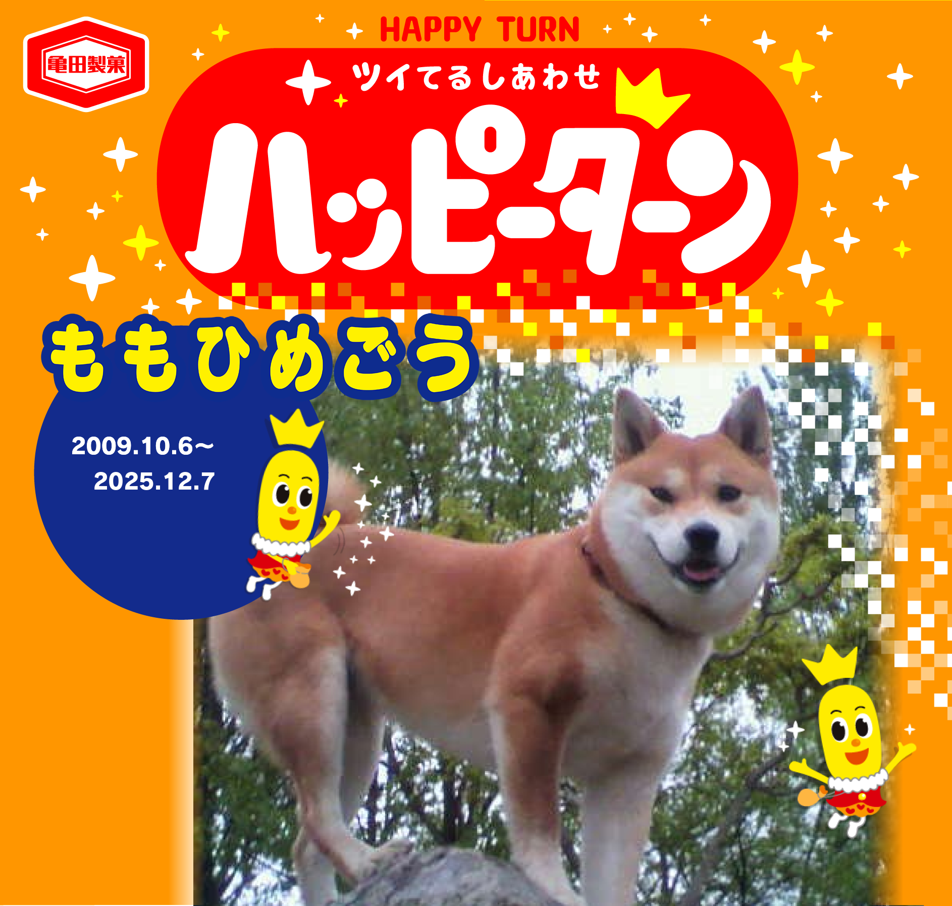 ももひめごう