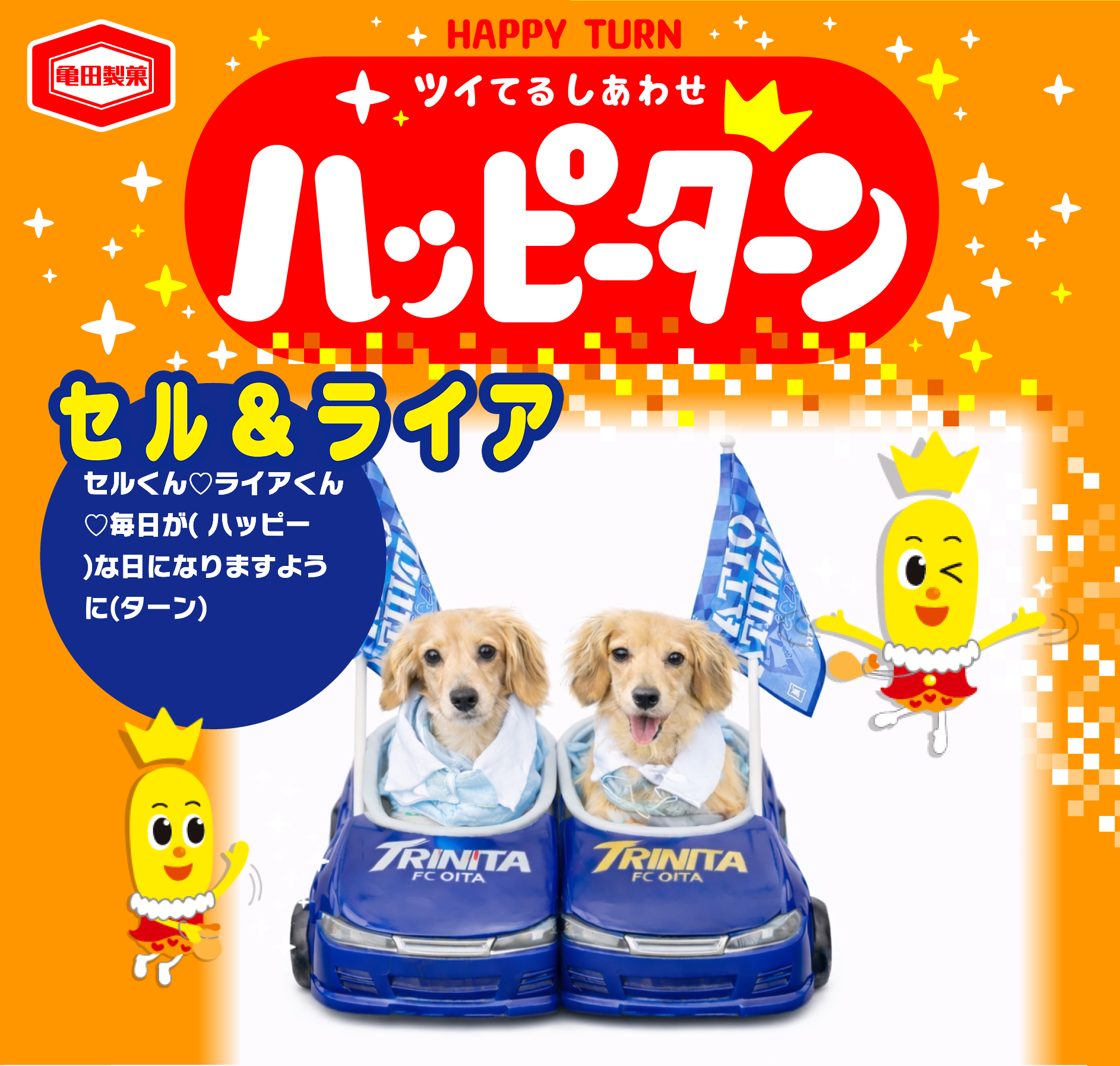 セル&ライア