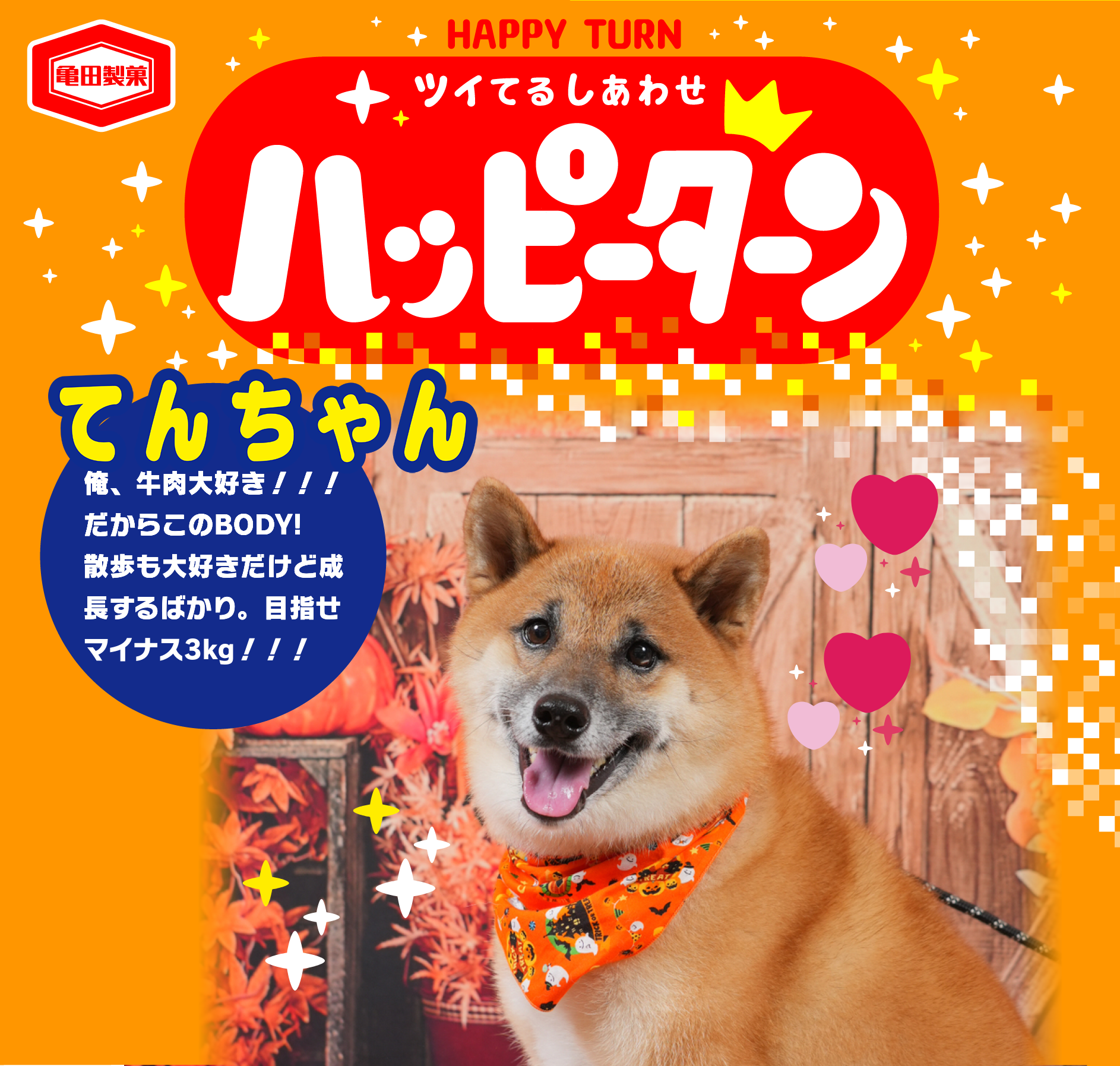 てんちゃん