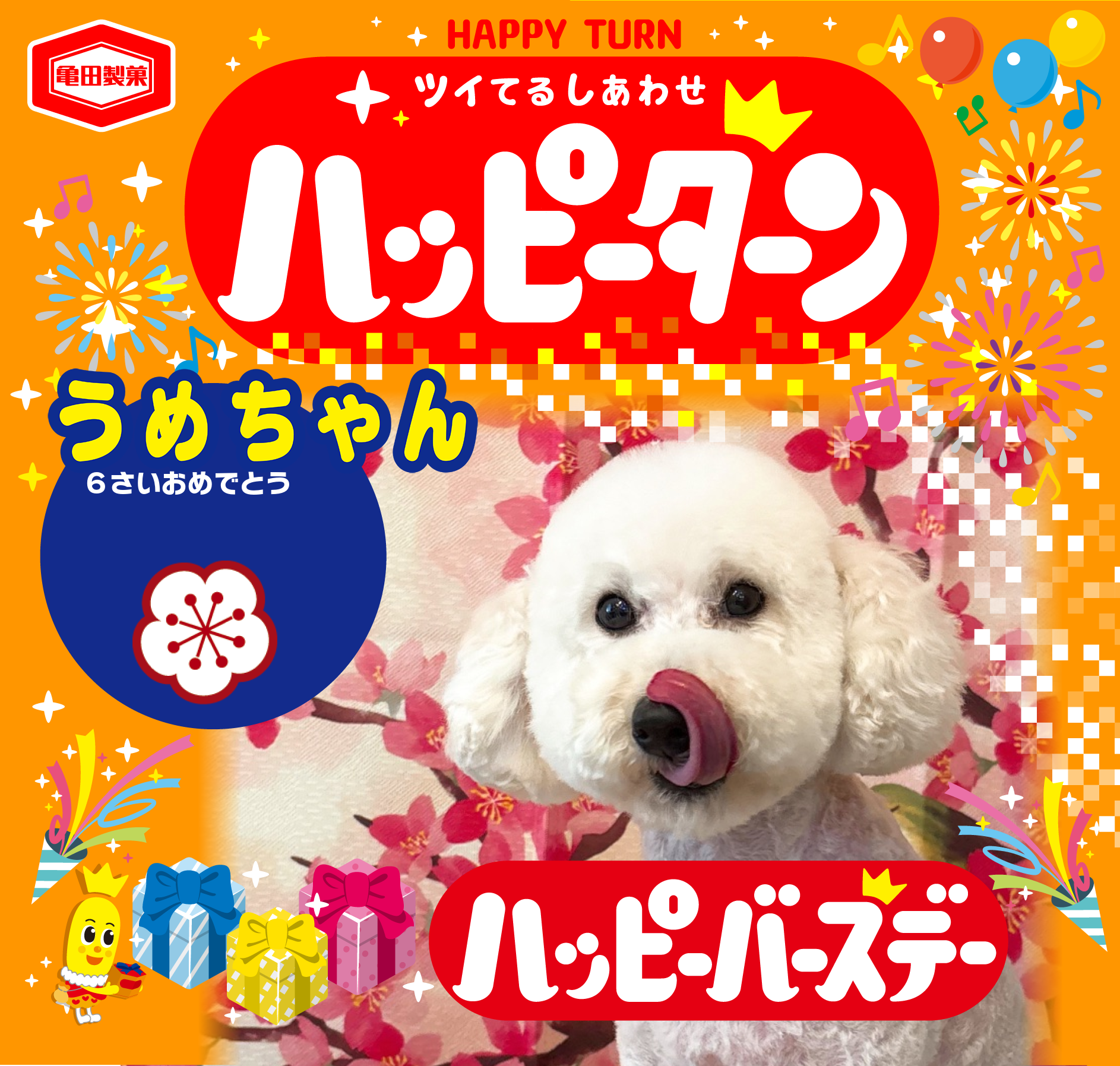 うめちゃん