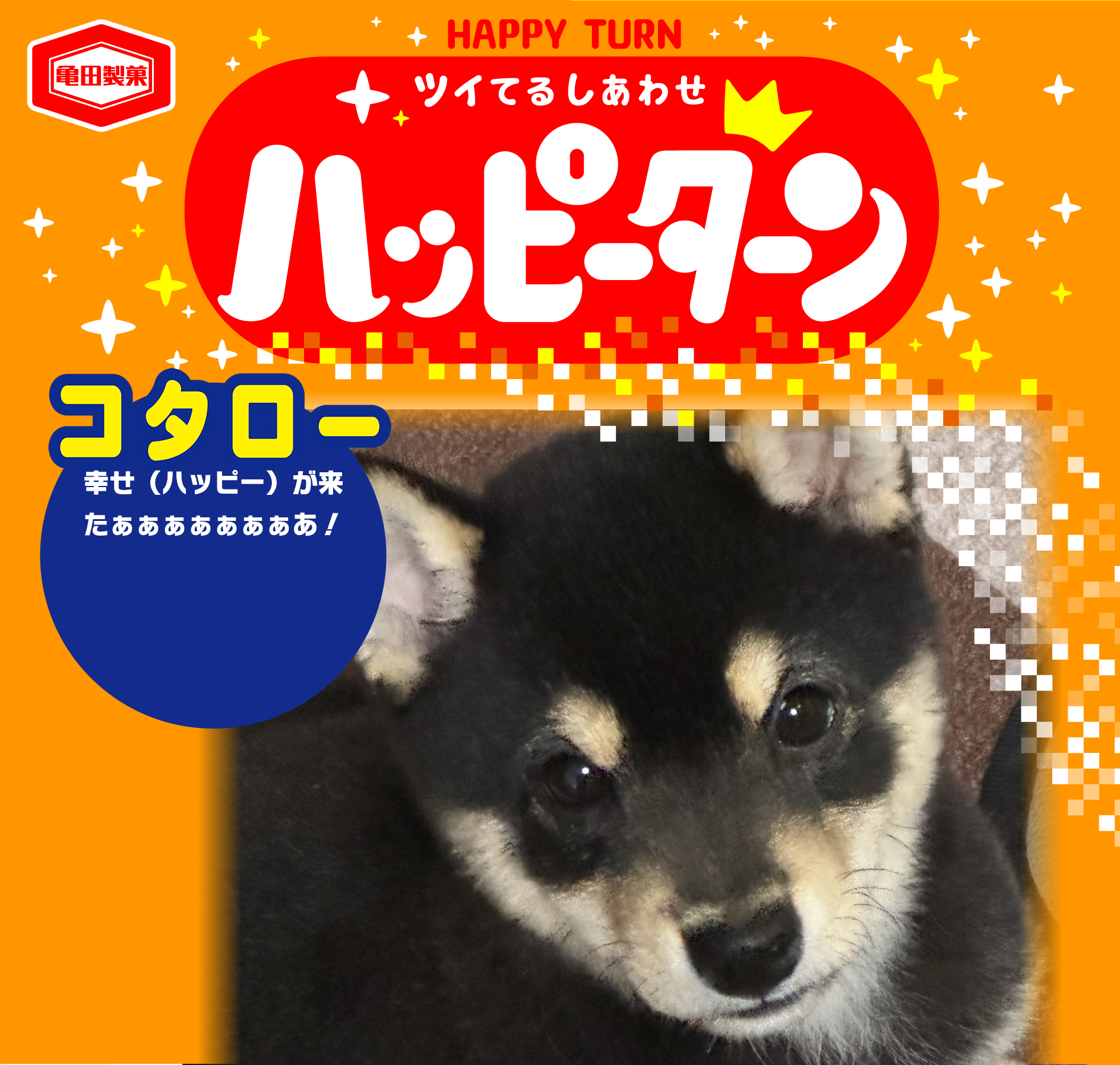 コタロー