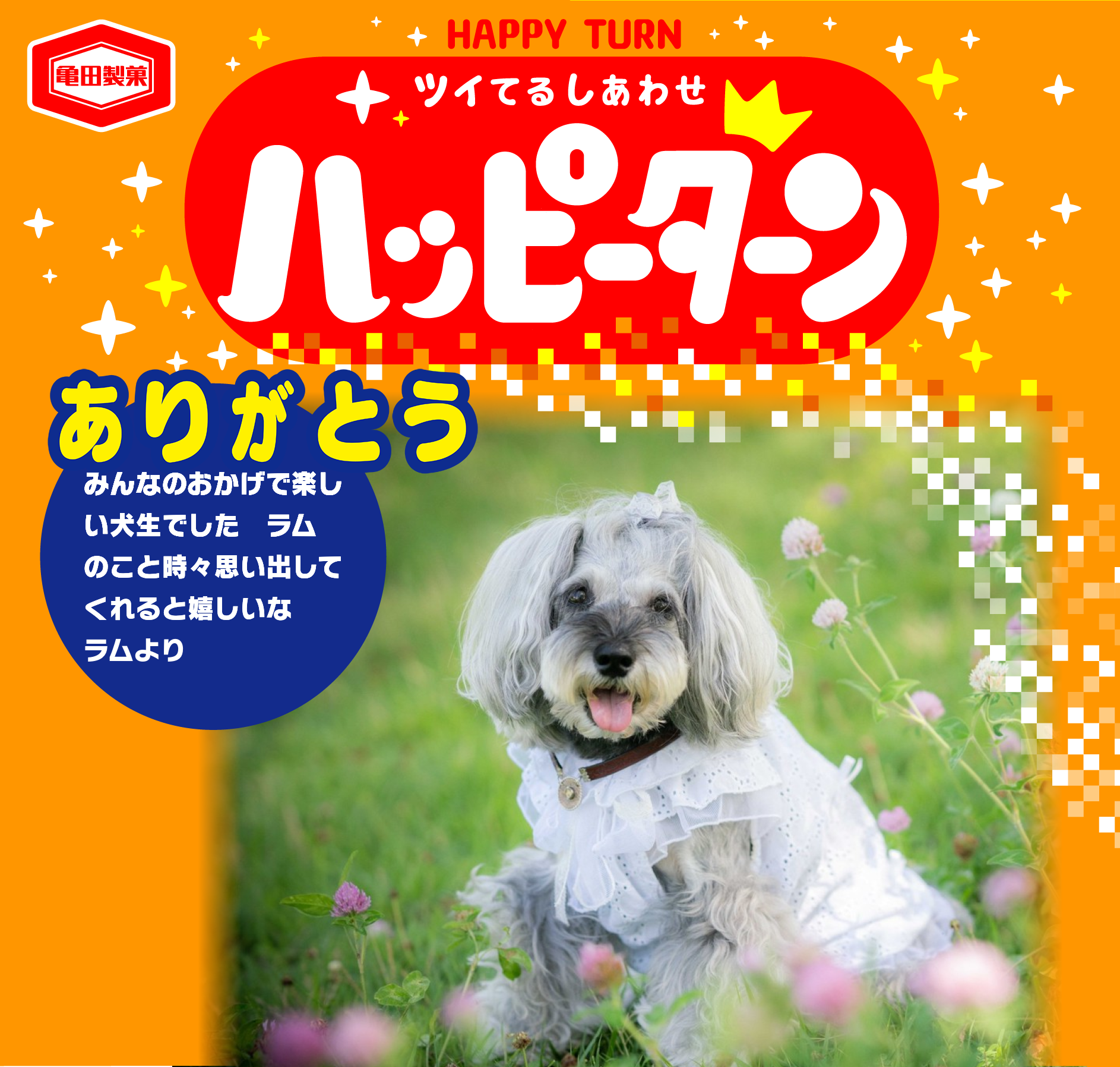 ありがとう